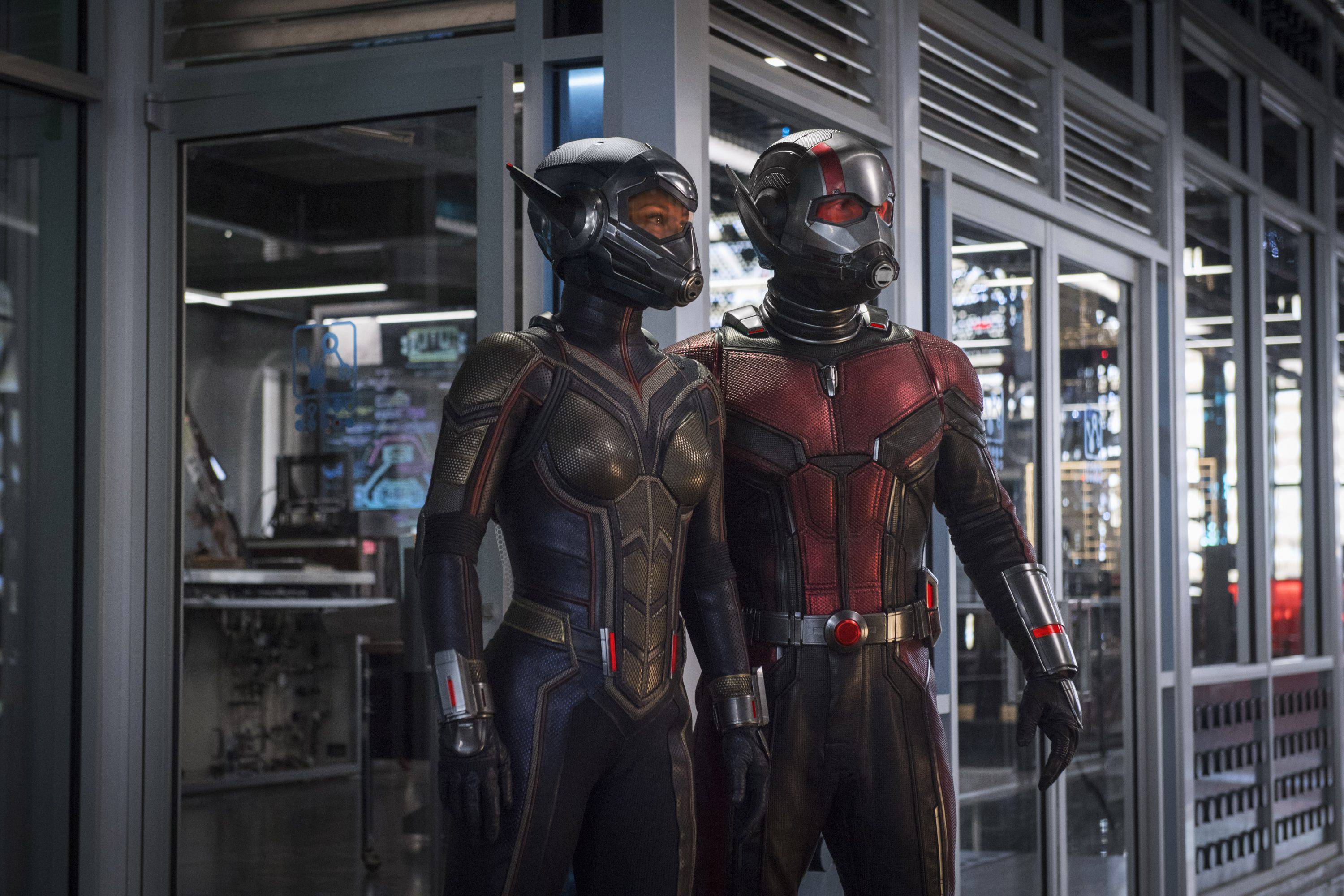 Ant Man And The Wasp HD Wallpaperwallpaper.net