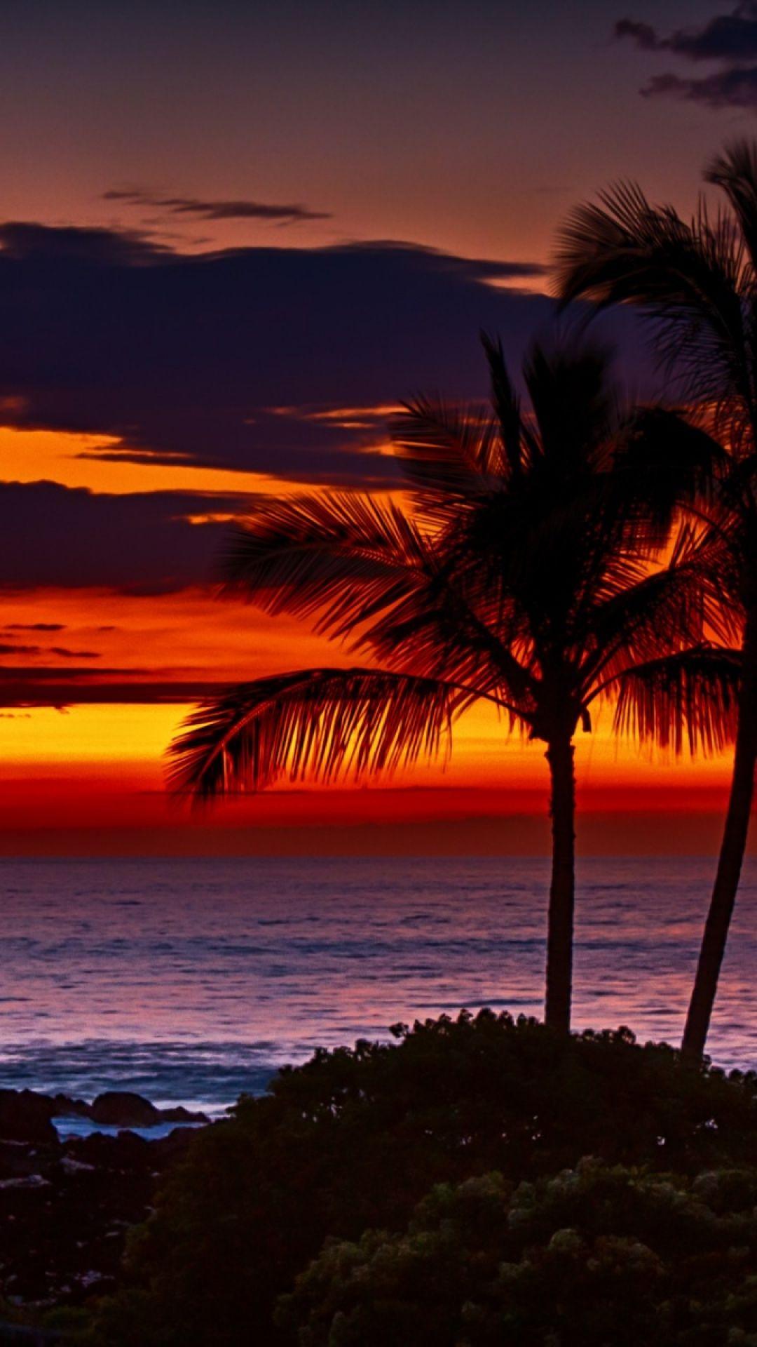 Surfing Hawaii Sunset Wallpaper