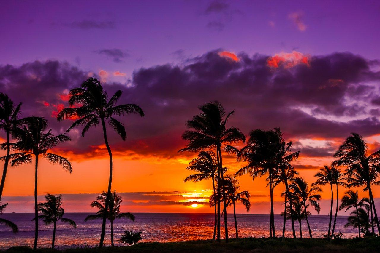 Hawaiian Sunset Wallpaper 1280x854 (182.56 KB)