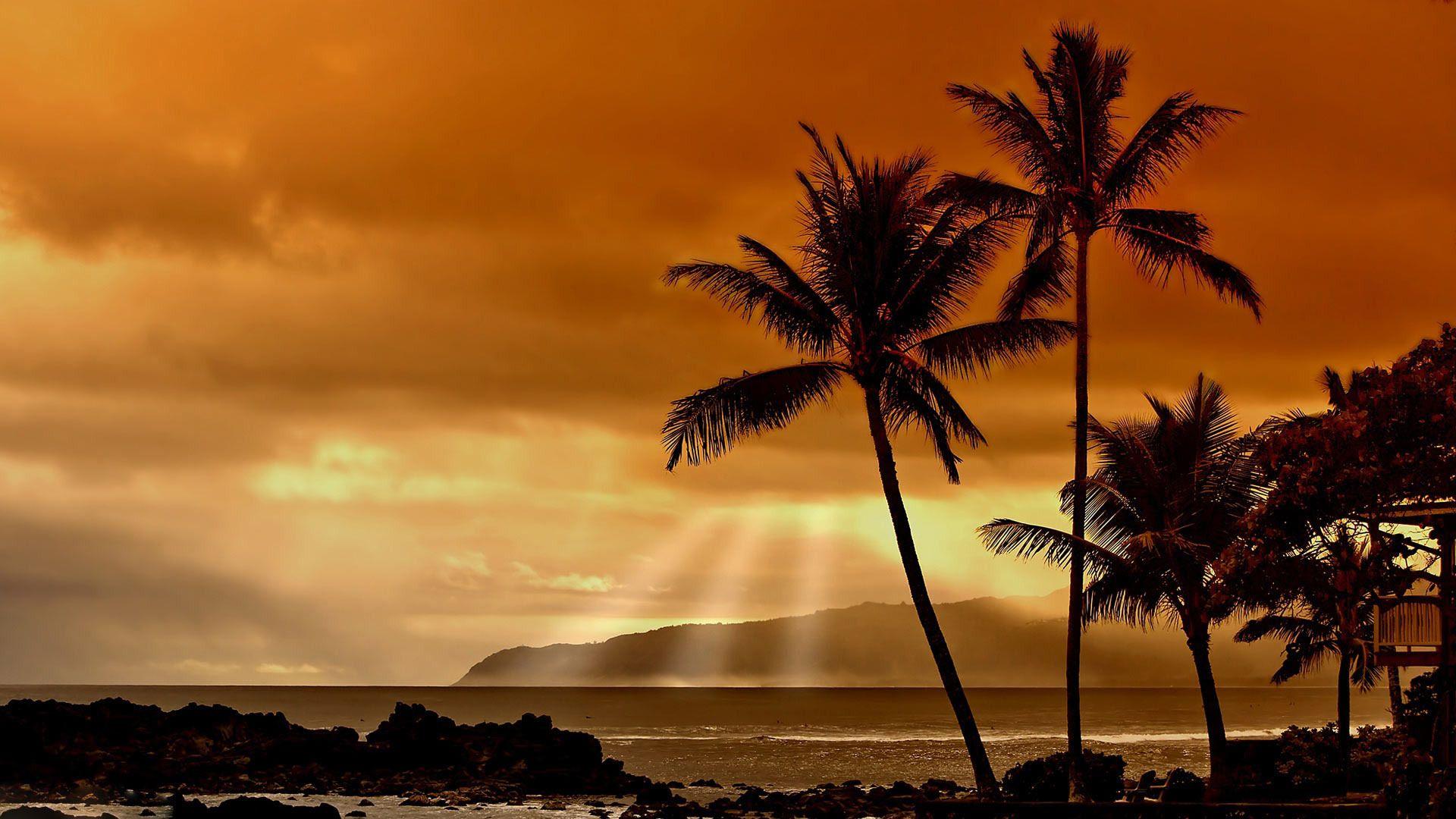 Sunset Hawaii Beach Desktop Wallpaper