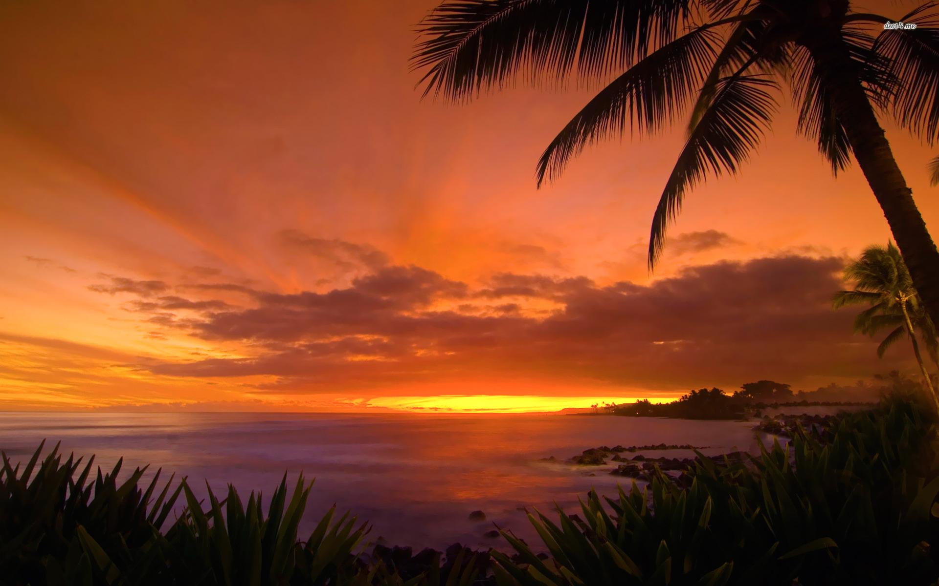 Hawaii sunset wallpaper wallpaper