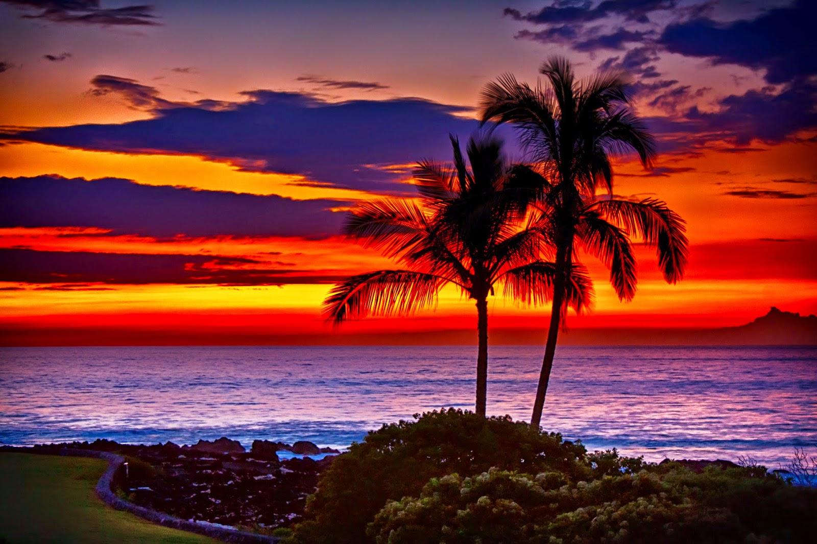 Hawaii Sunset Wallpaper (image in Collection)