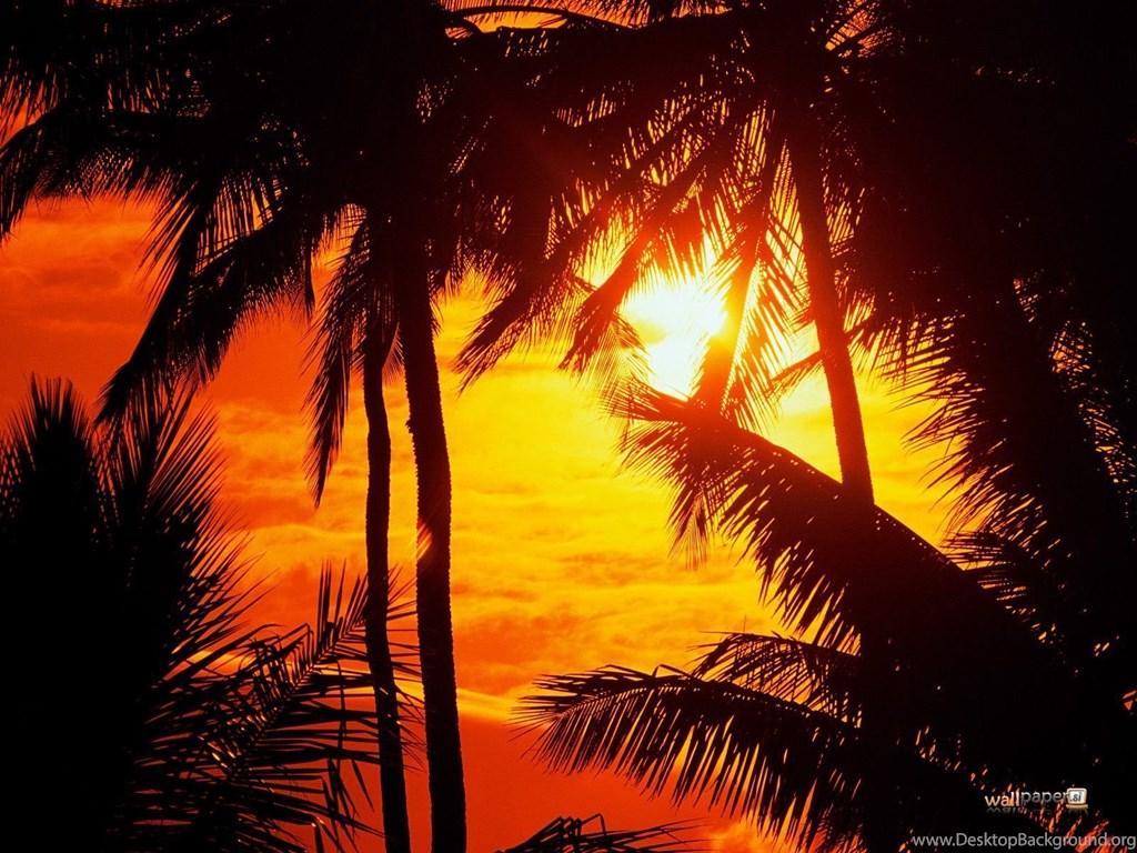 Hawaii Sunset Wallpaper 57792 Desktop Background