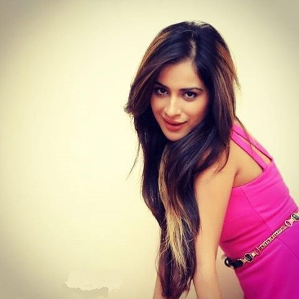 Sara Gurpal Punjabi Model Actress Hot HD Photo Image