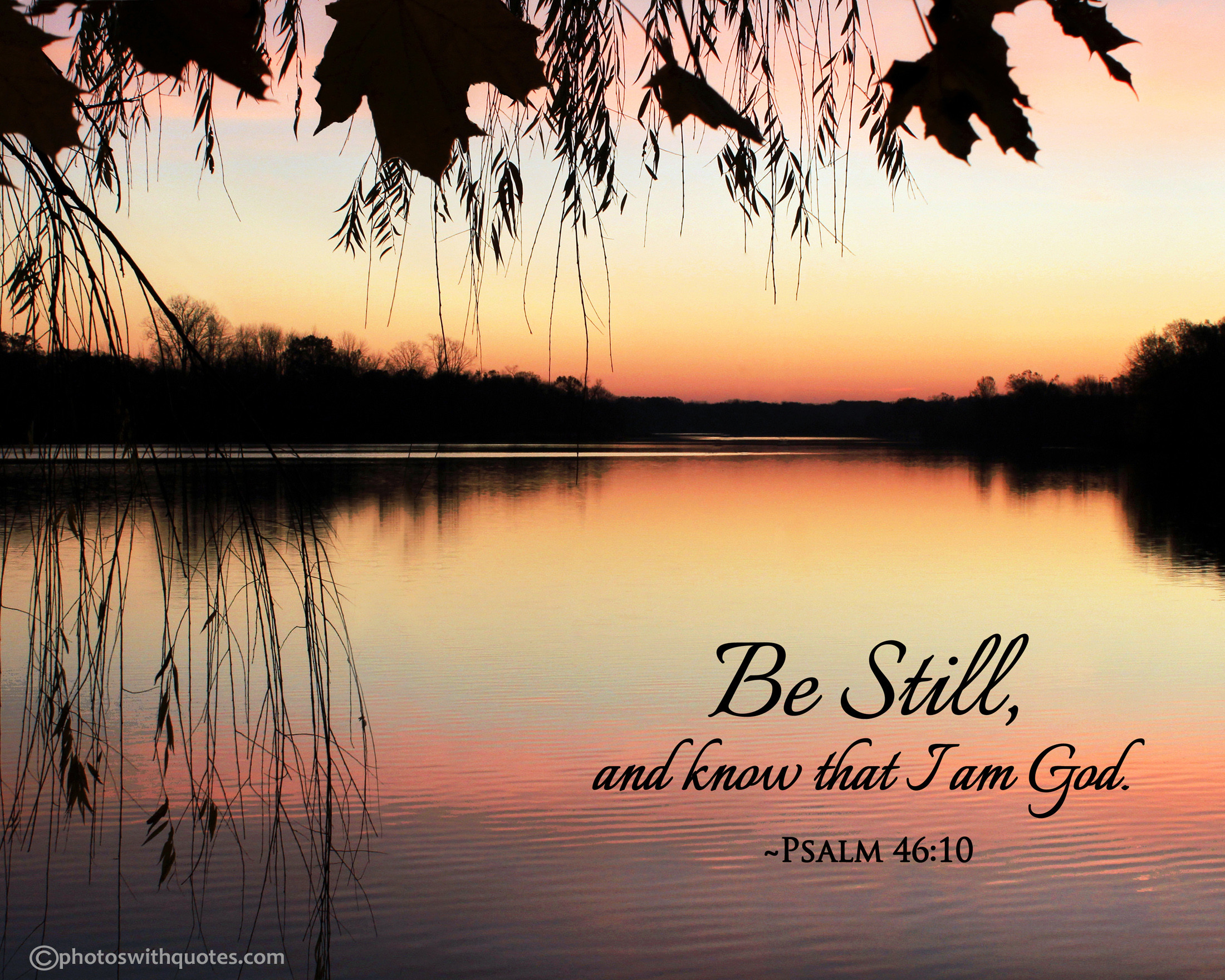 Be Still Wallpaper