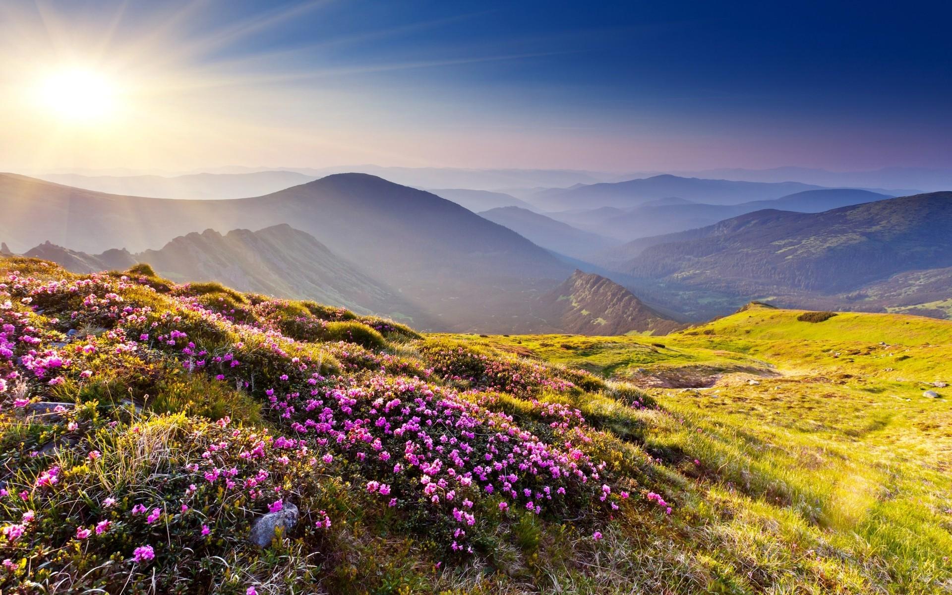 Flowers, Mountains, love Smell, Nature, Sky, Landscapes HD Landscape