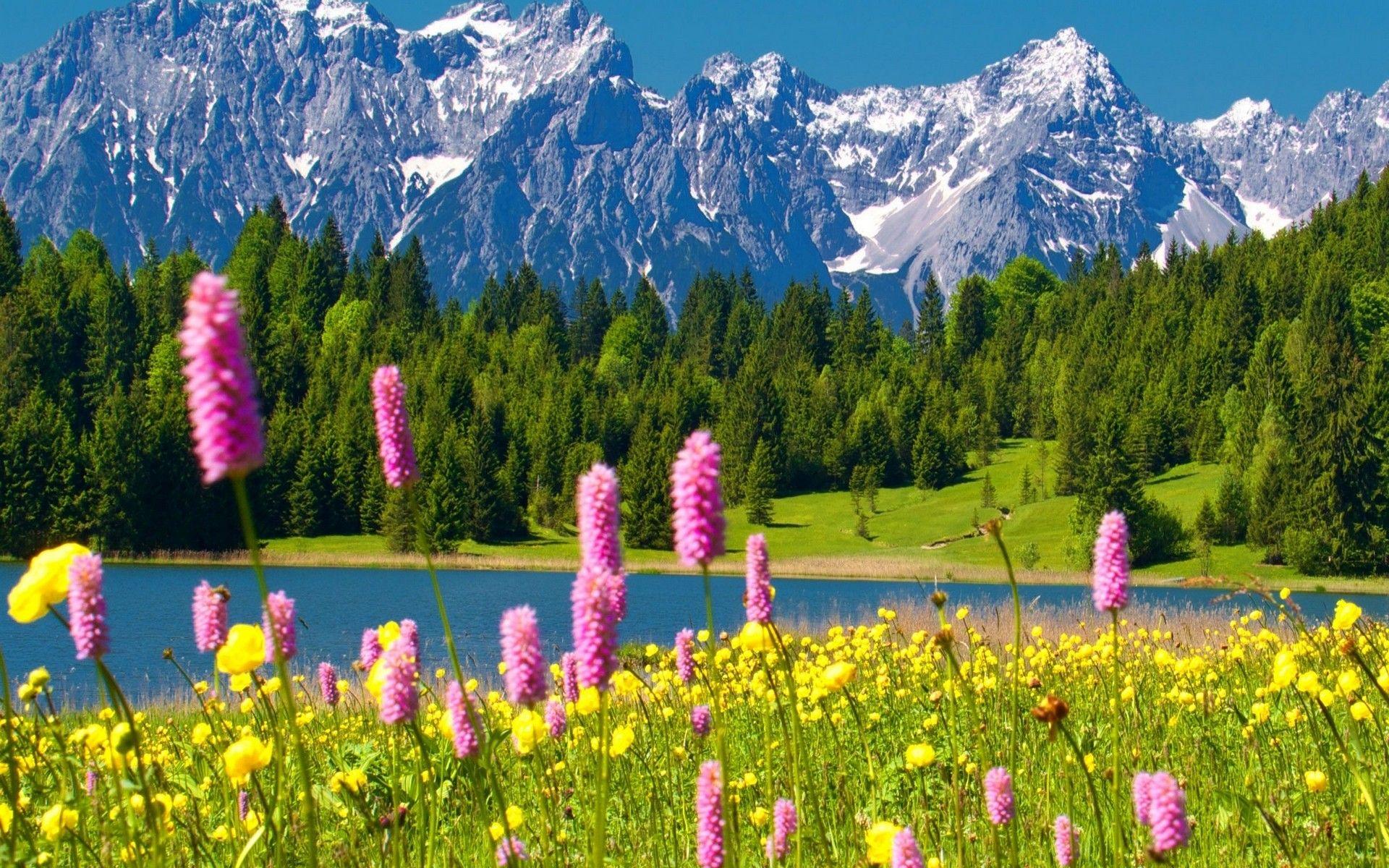 Springtime in the Mountains Wallpaper