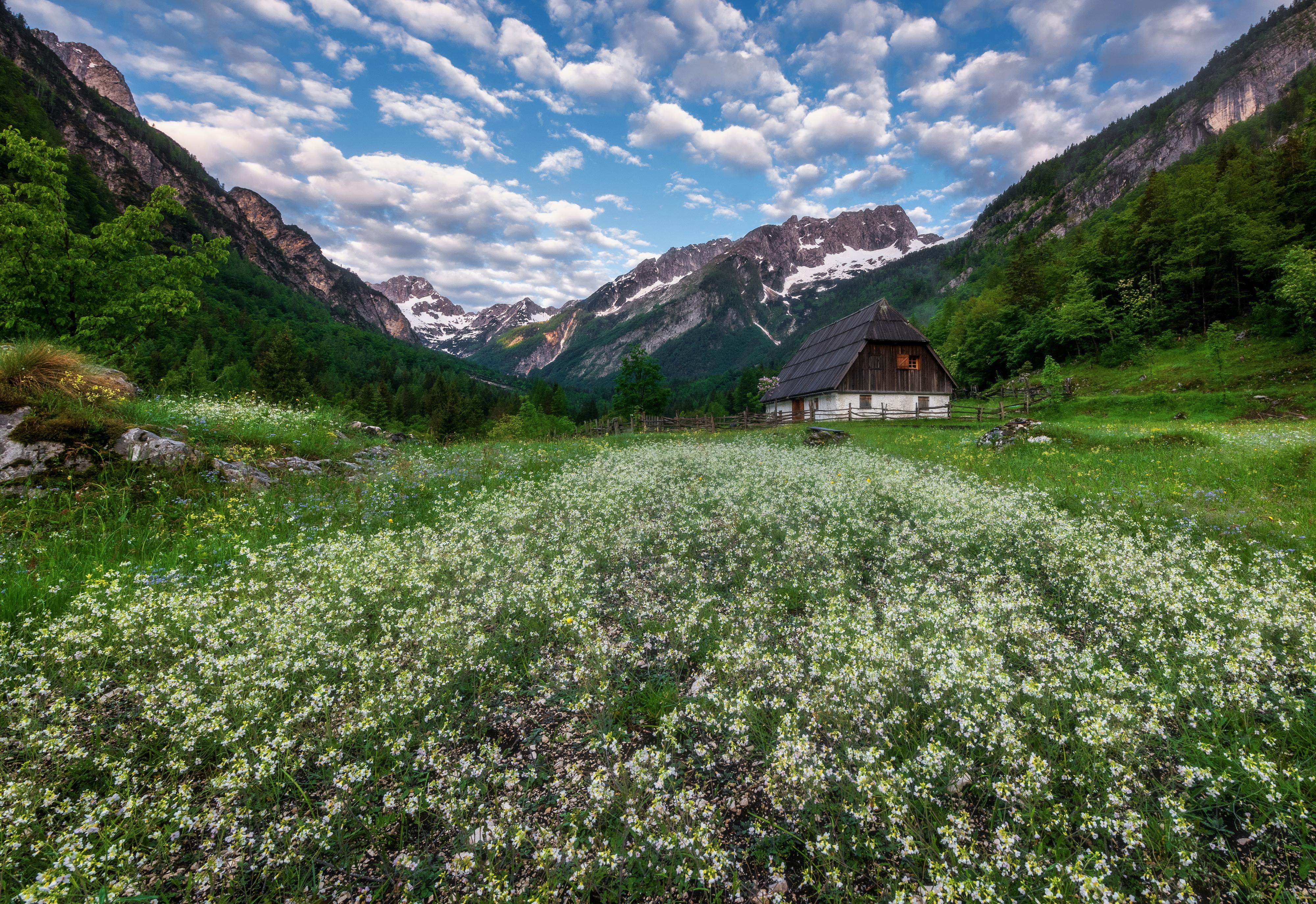 Spring, Cottage, Flower, House, Meadow, Grass, Mountain