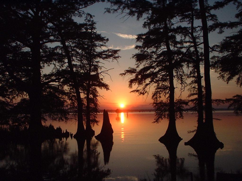 Samburg Tourism Lake in Samburg, TN