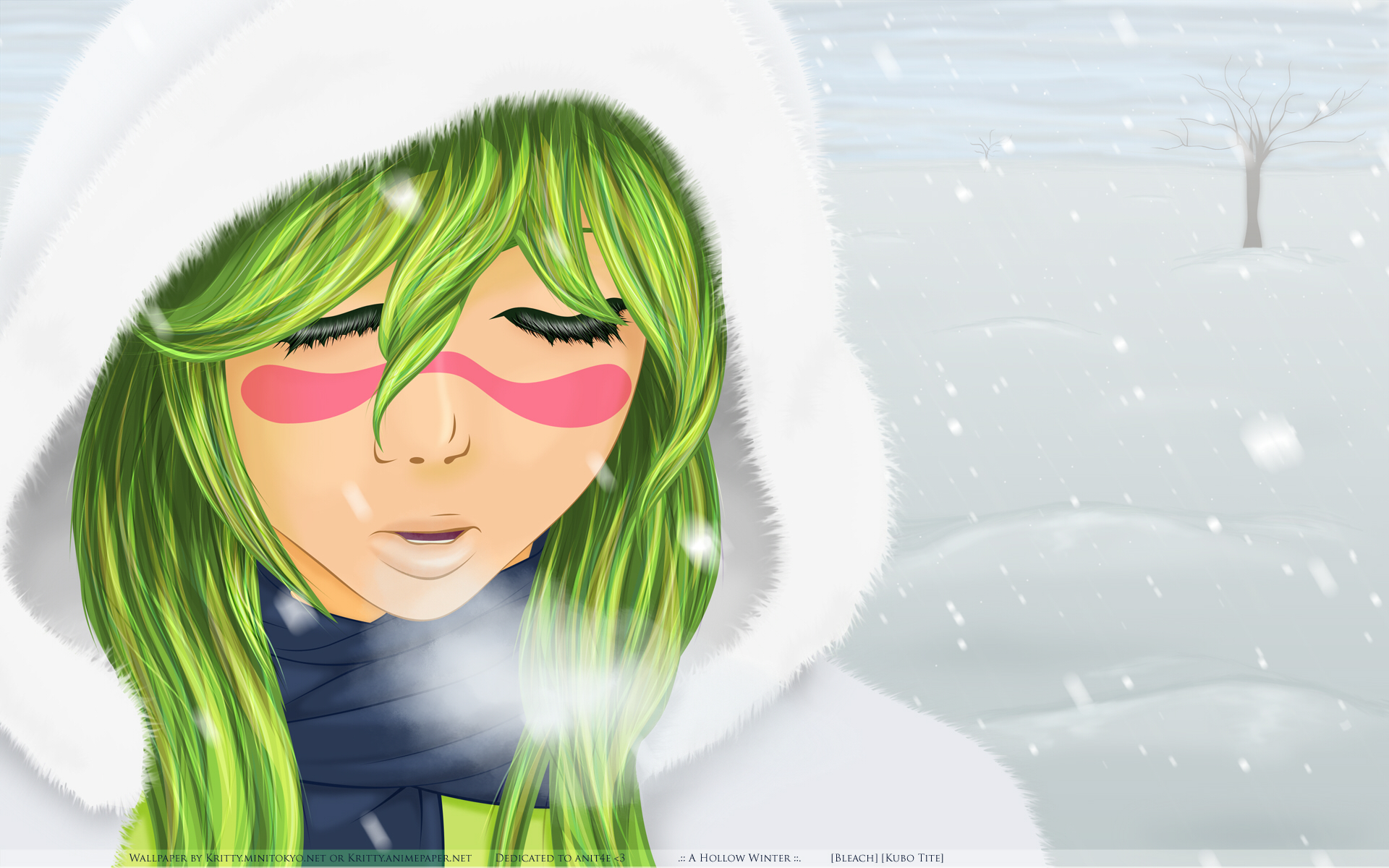 snow, Bleach, green hair, Espada, Nelliel Tu Odelschwanck, fur clothing wallpaper