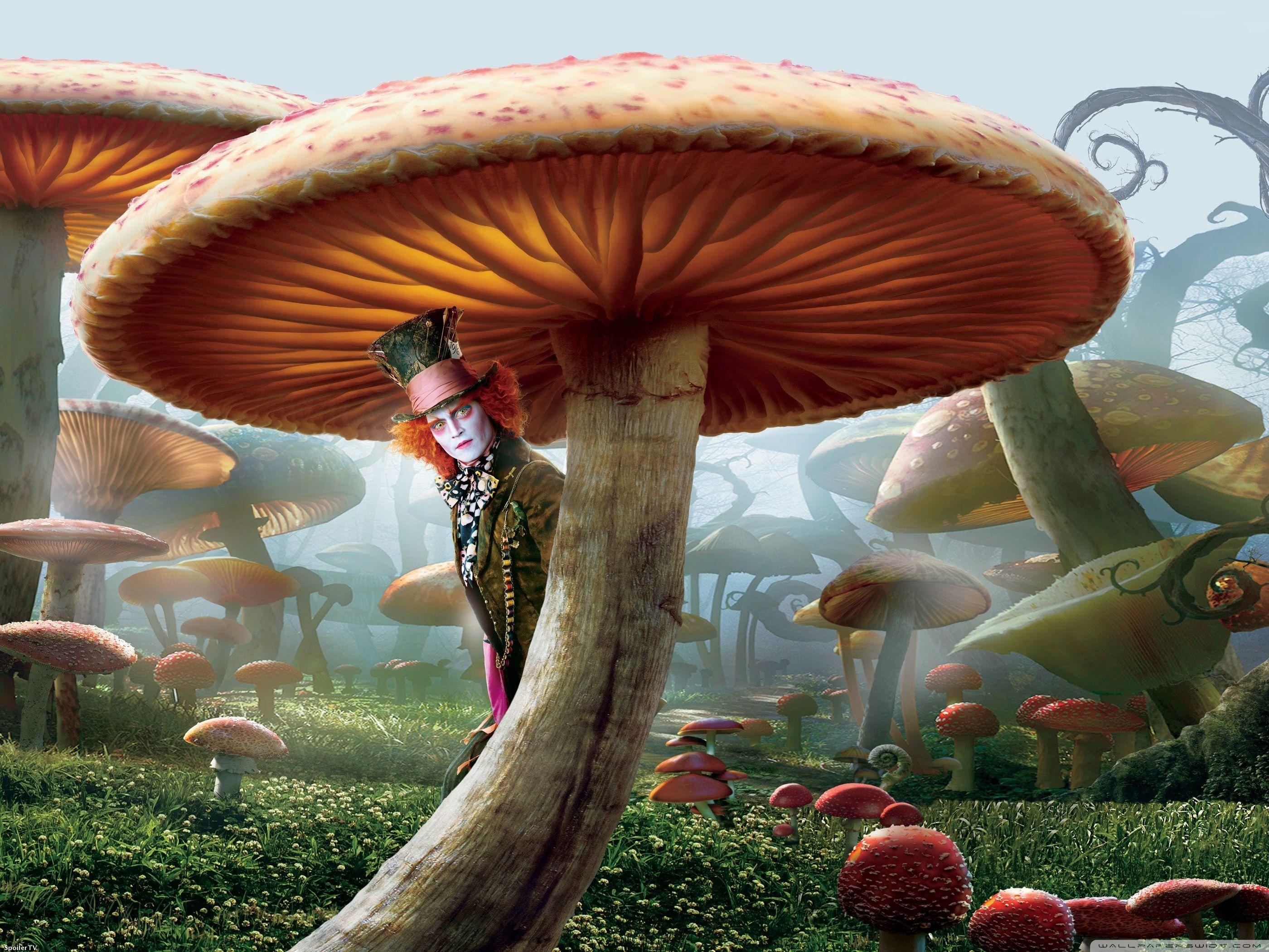 Mad Hatter, Alice In Wonderland ❤ 4K HD Desktop Wallpaper for 4K