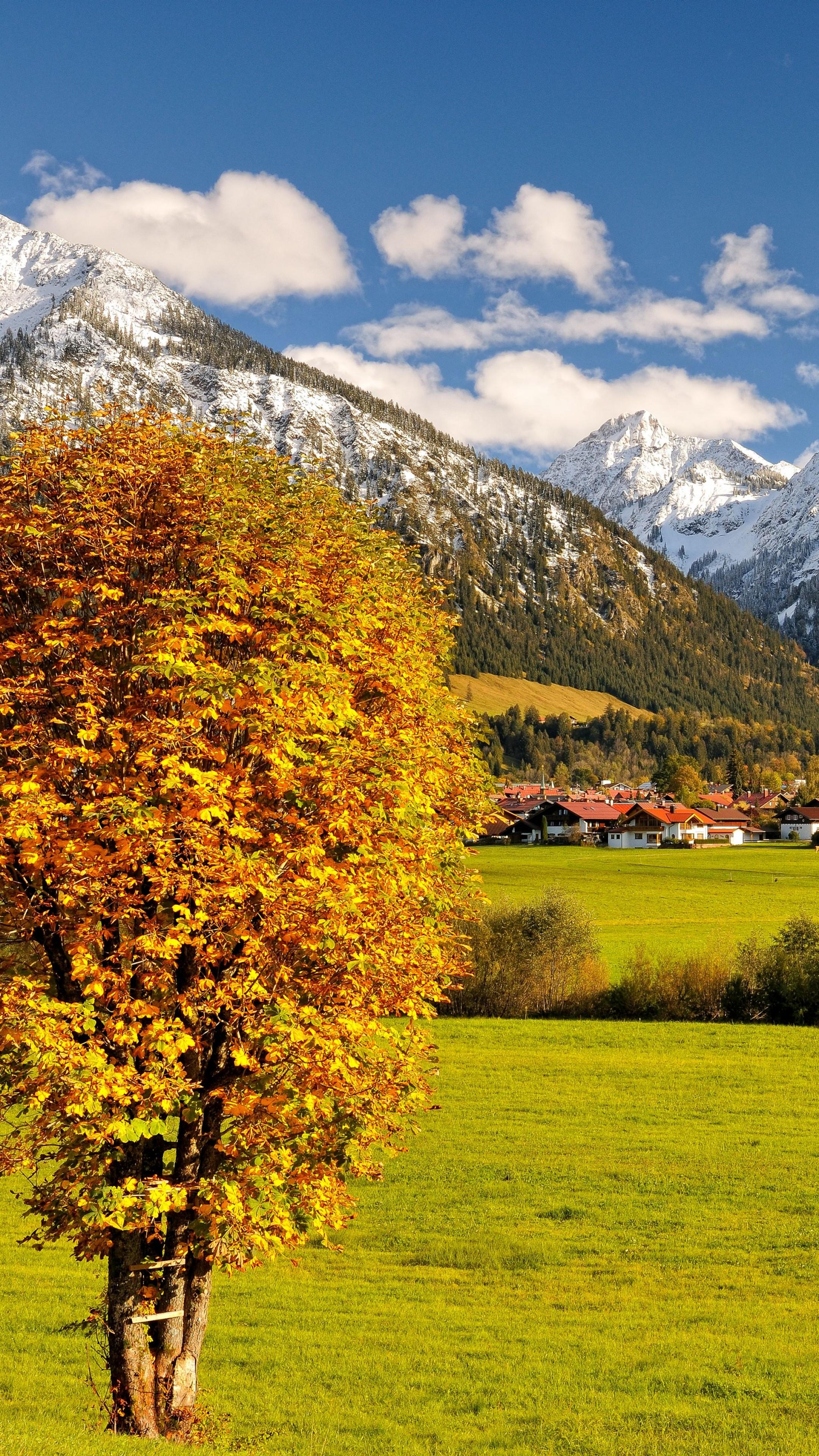 Wallpaper Allgaeu, Germany, Europe, mountains, autumn, tree, 5k