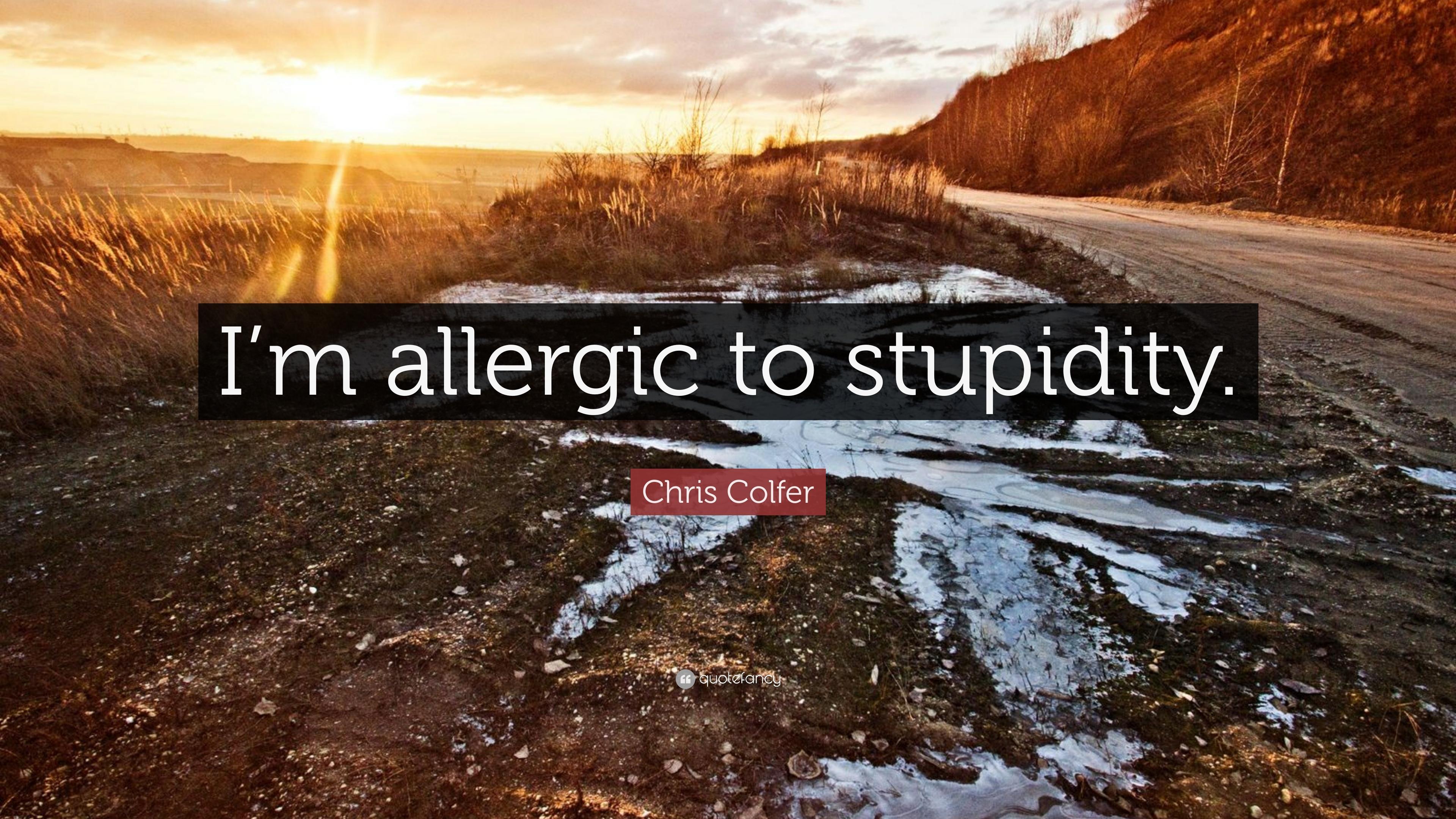 Chris Colfer Quote: “I'm allergic to stupidity.” 11 wallpaper