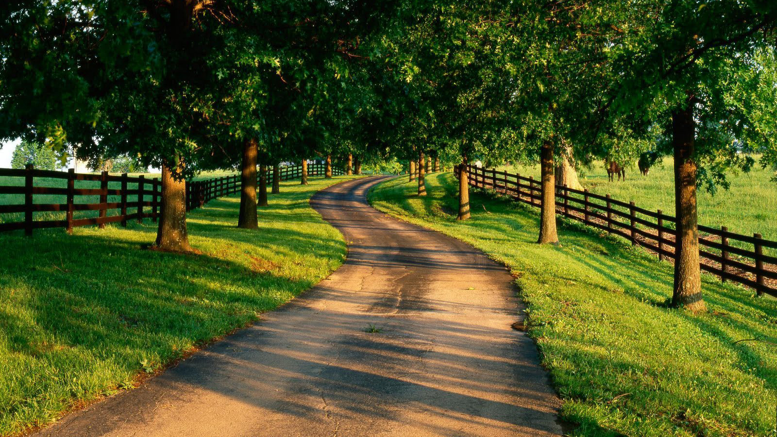 Summer Country Road HD Wallpaper, Background Image