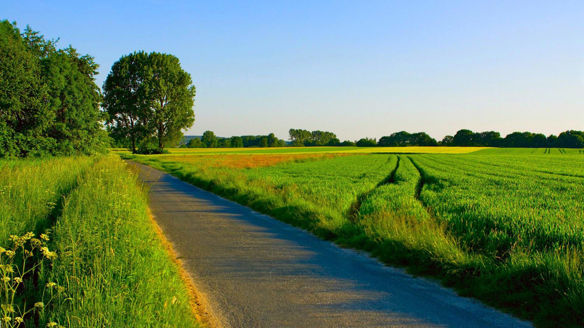 Summer Country Road HD Wallpaper, Background Image