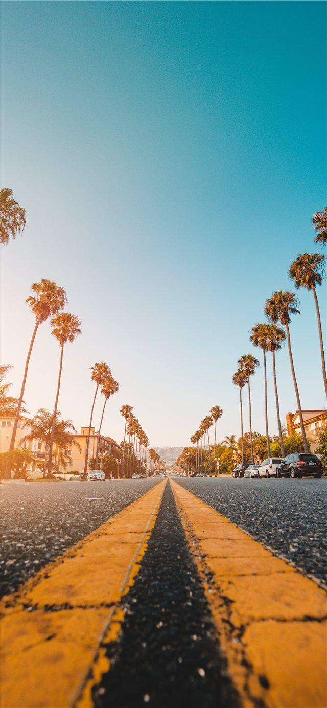 Follow the Yellow Palmed Road iPhone X wallpaper #road #street #perspective #palmtree #cl. Tree wallpaper iphone, Wallpaper iphone summer, iPhone wallpaper yellow