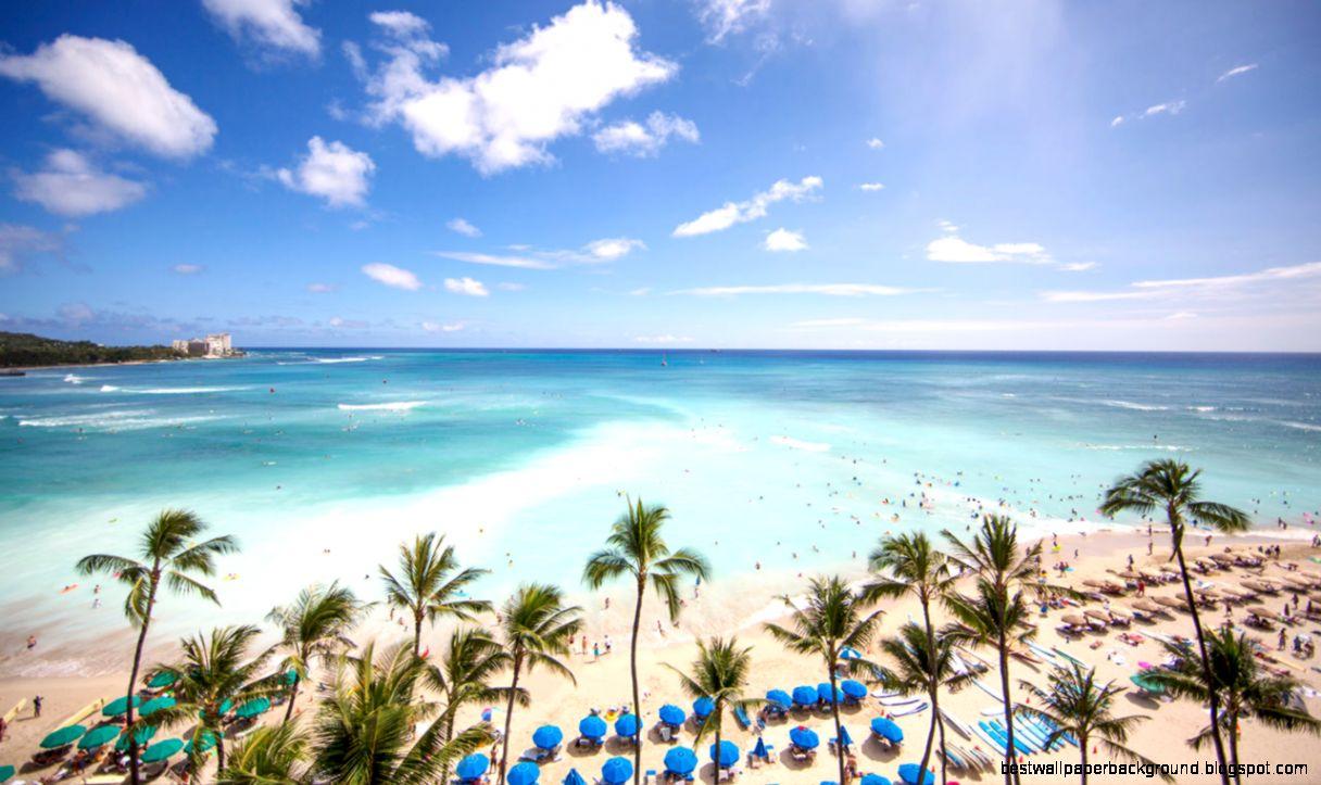 Waikiki Beach. Best Wallpaper Background