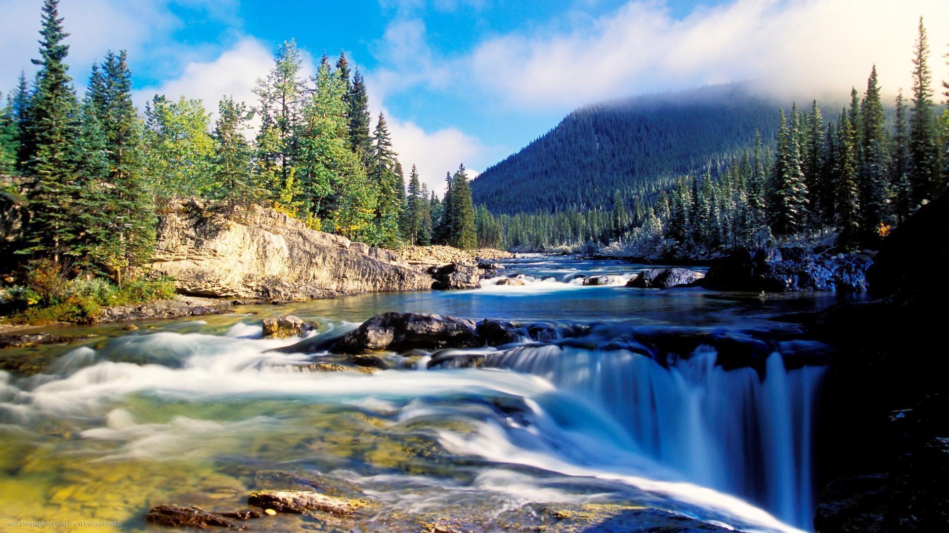 Mountain River At Summer Forest Landscape Widescreen Image
