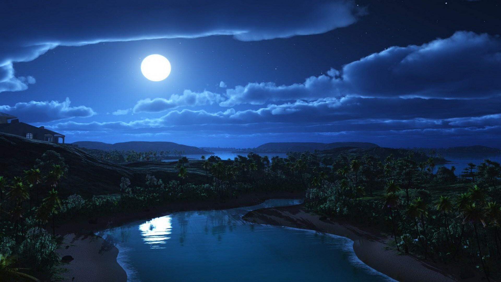 Beautiful Moon in Summer night HD #wallpaper