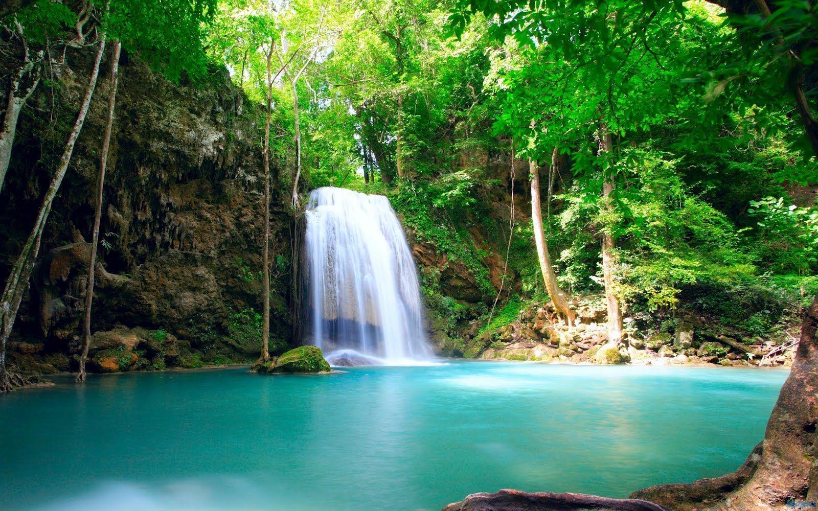 Tropical Rainforest Waterfalls. HD Wallpaper 1600×1000 pixel