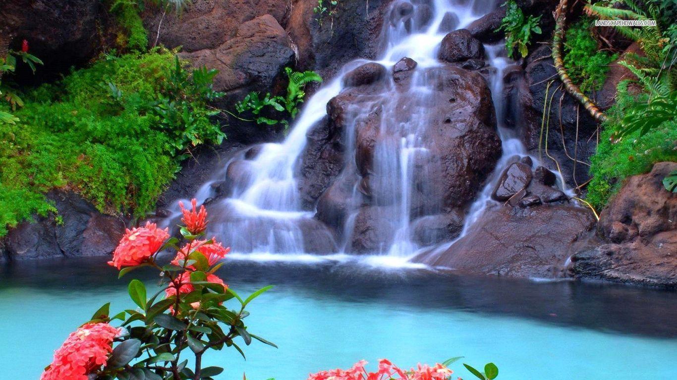 Free Rainforest Waterfall Wallpaper 1080p at Landscape Monodomo