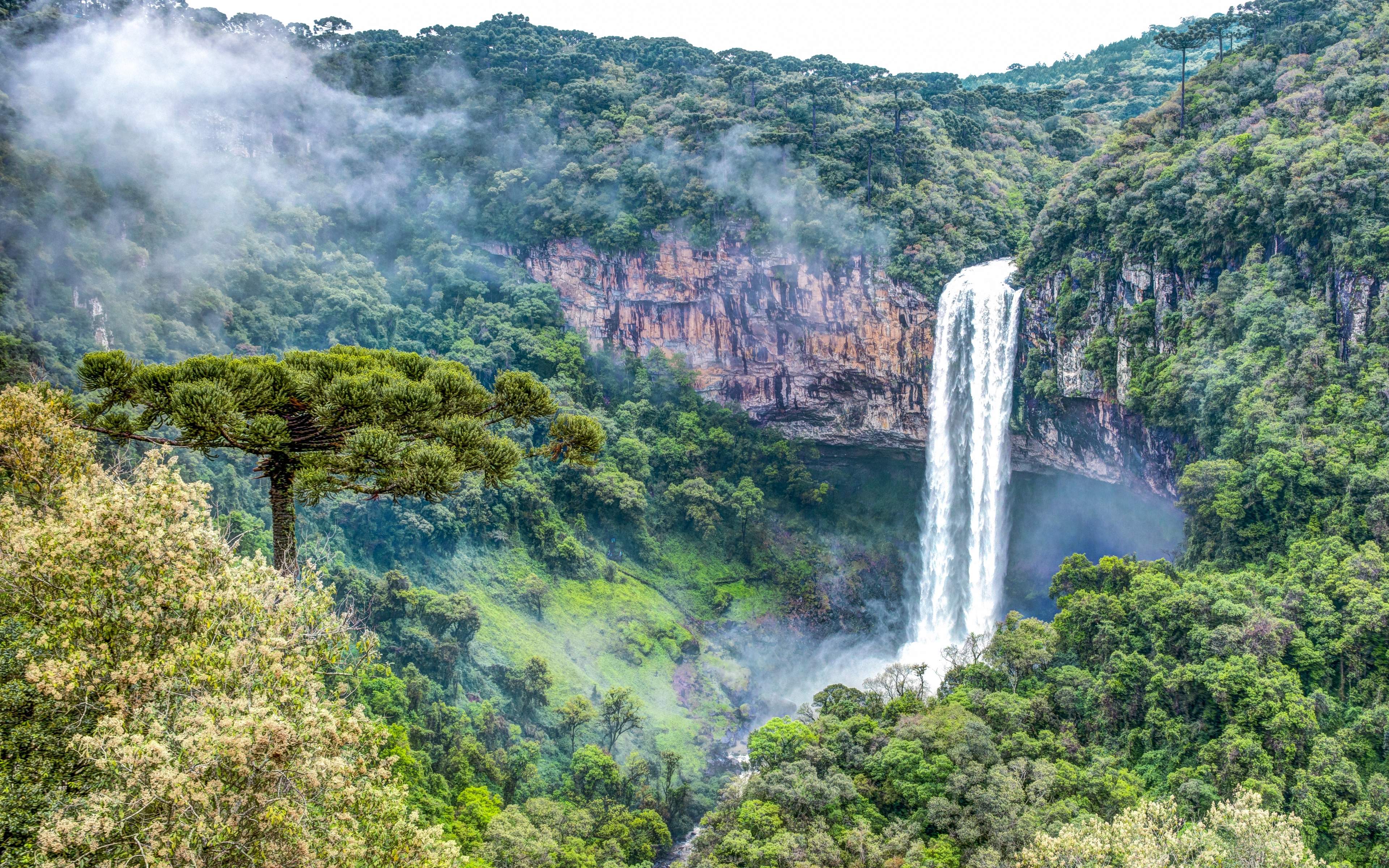 Free download Rainforest Waterfall Wallpaper High Resolution at