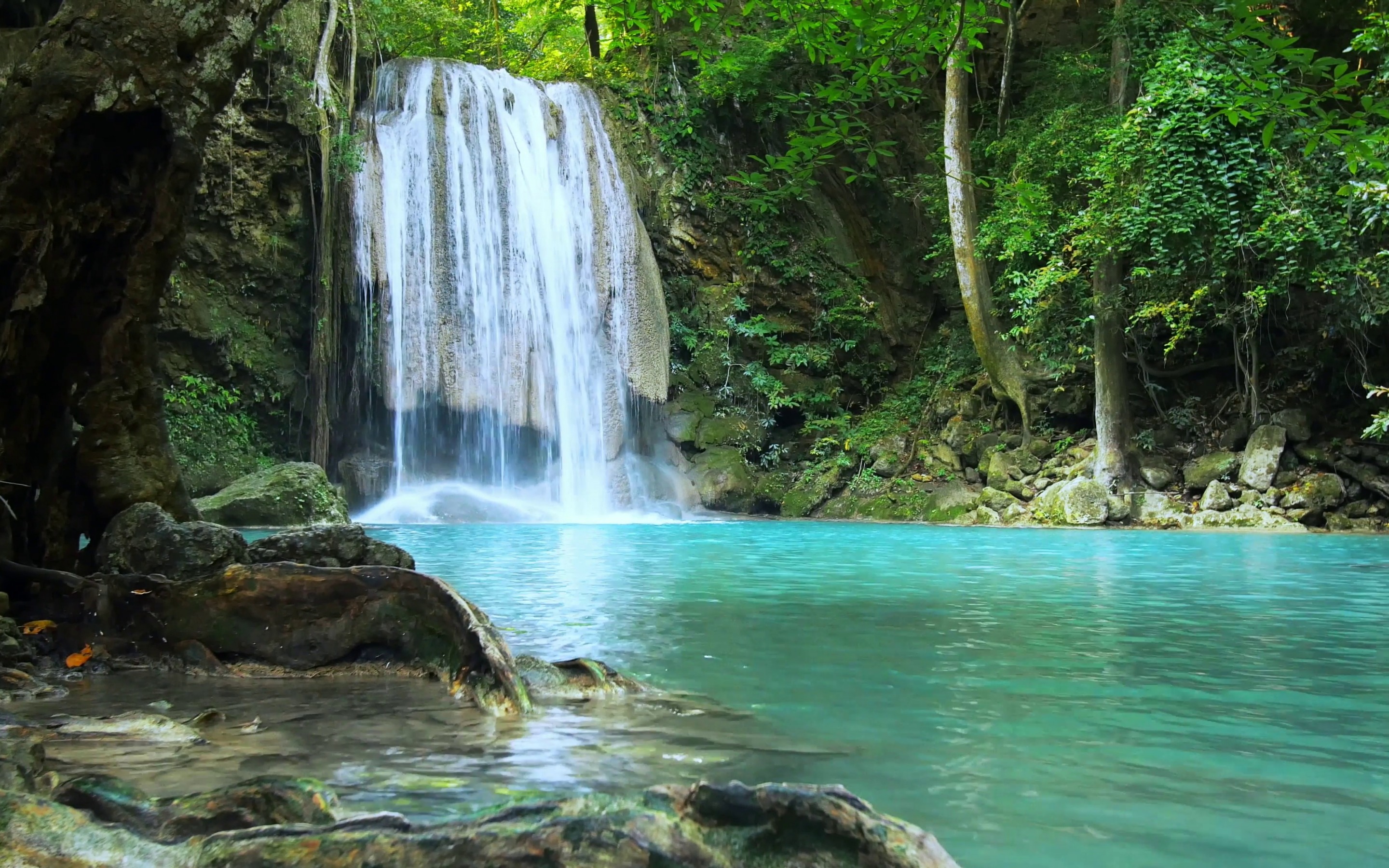Download wallpaper waterfall, rainforest, blue lake, green trees