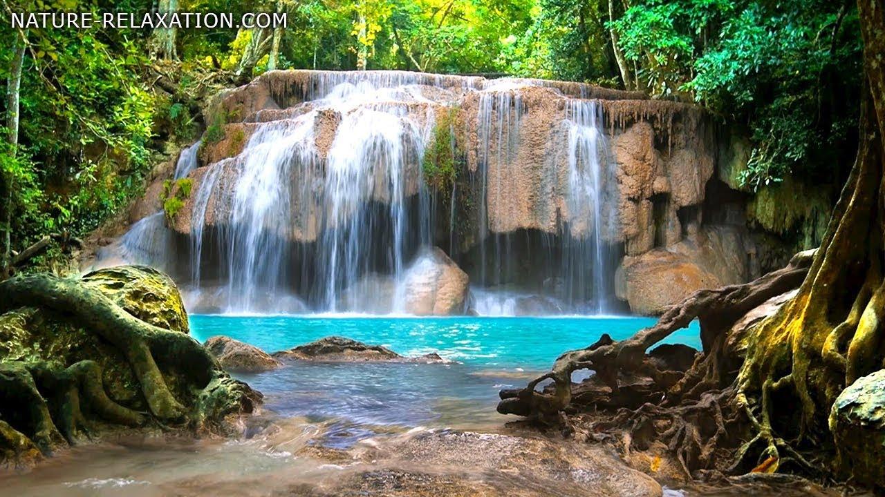 Rainforest Waterfalls wallpaper_Funny Wallpaper_download free wallpaper