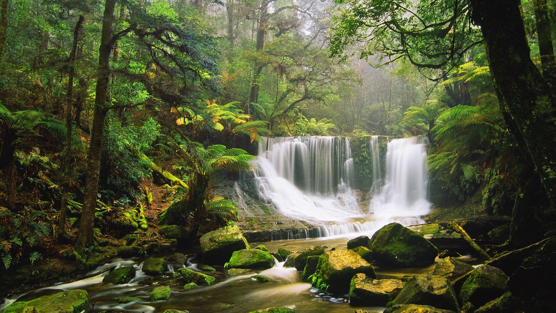 Waterfall, Rocks, Moss Green Forest Tree Fern Australian Rainforest