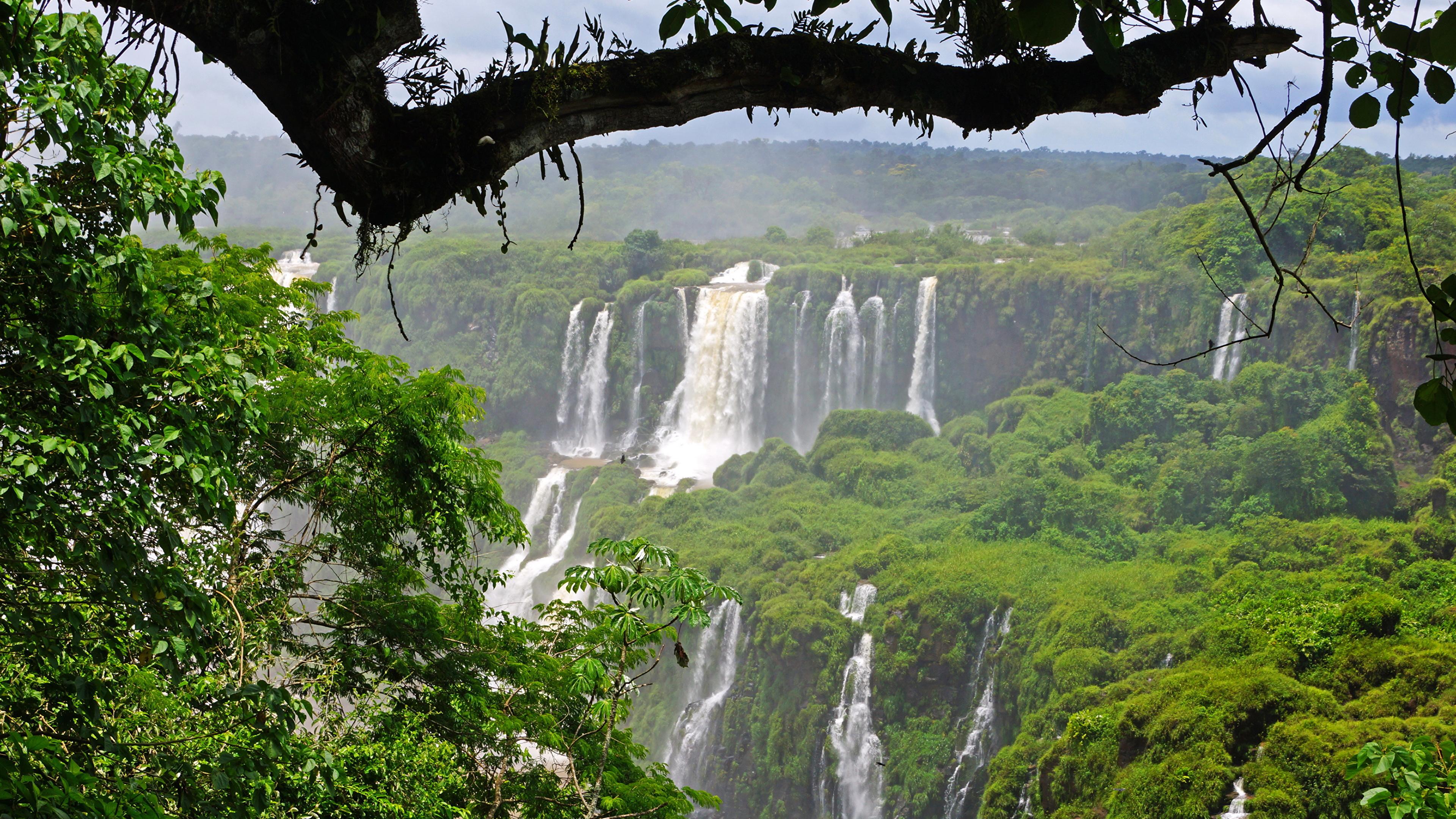 Iguazu River, Water Resources, Vegetation, Rainforest, Waterfall 4K