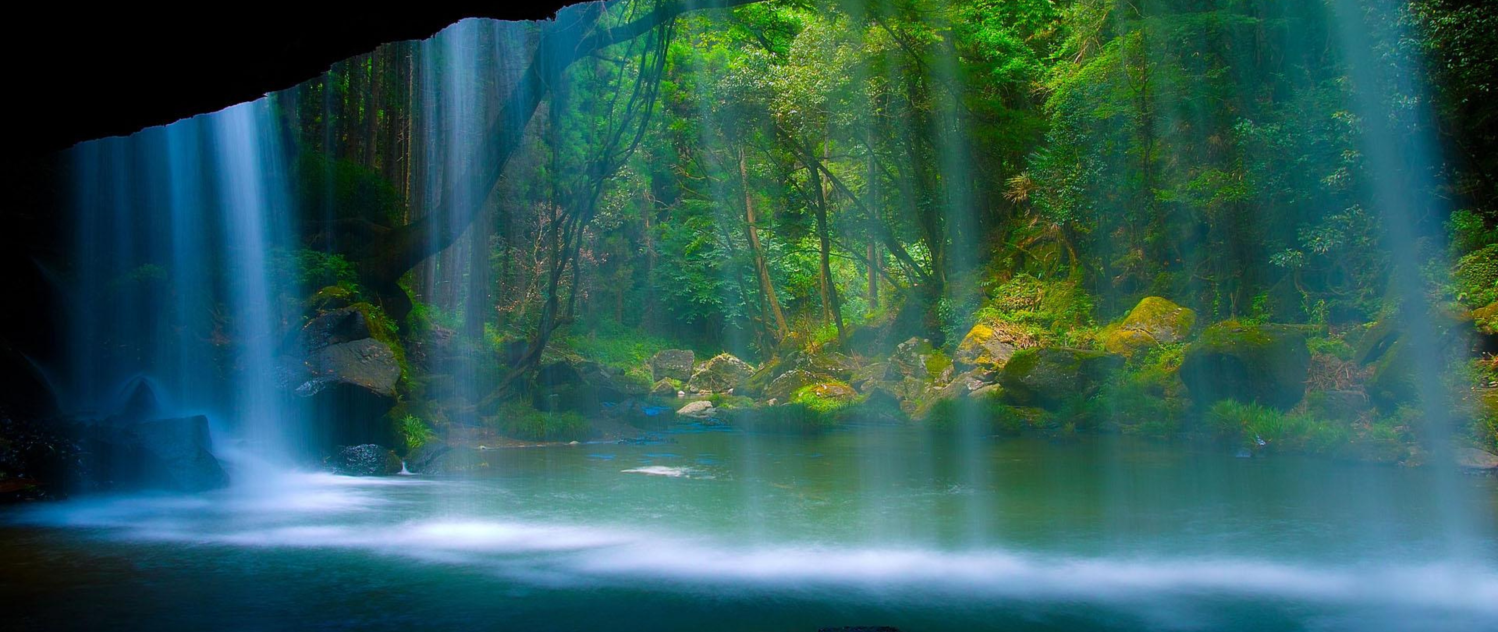 Download Free Rainforest Waterfall Full HD Wallpaper 4K Ultra HD Wide TV