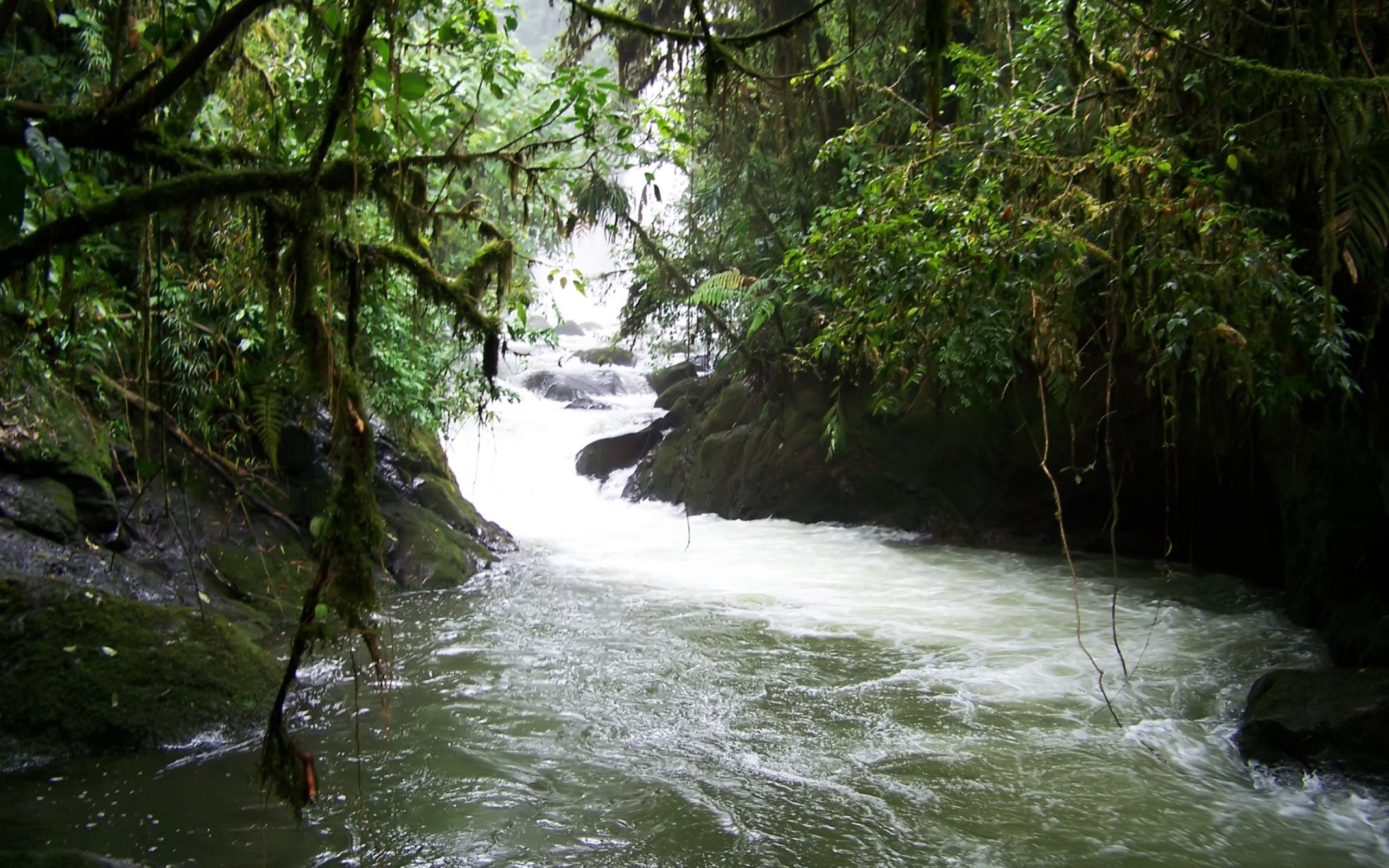 Waterfall in Costa Rica Rainforest Wallpaper Rivers Nature