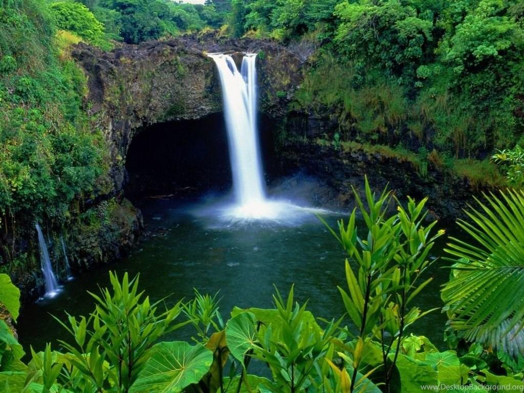 Rainbow Tropical Rainforest Waterfalls Backgro Wallpaper