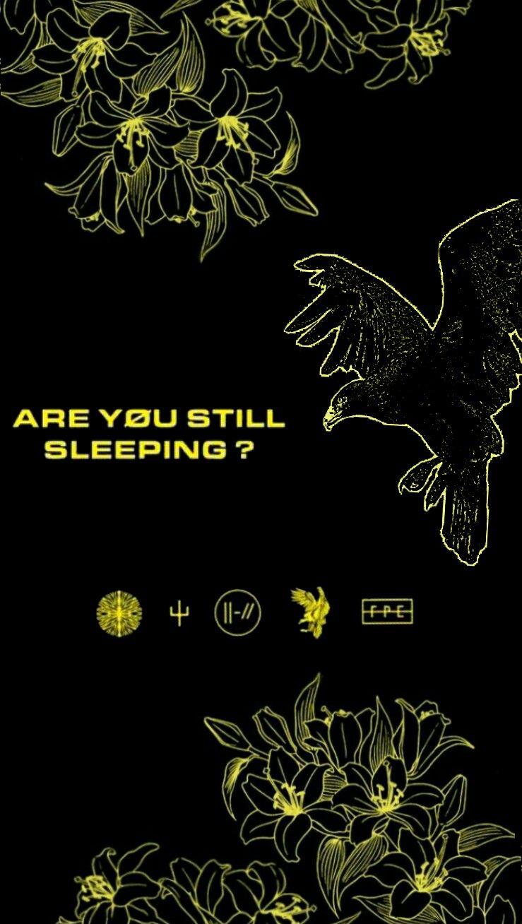 lockscreens no. 195 one pilots, vessel