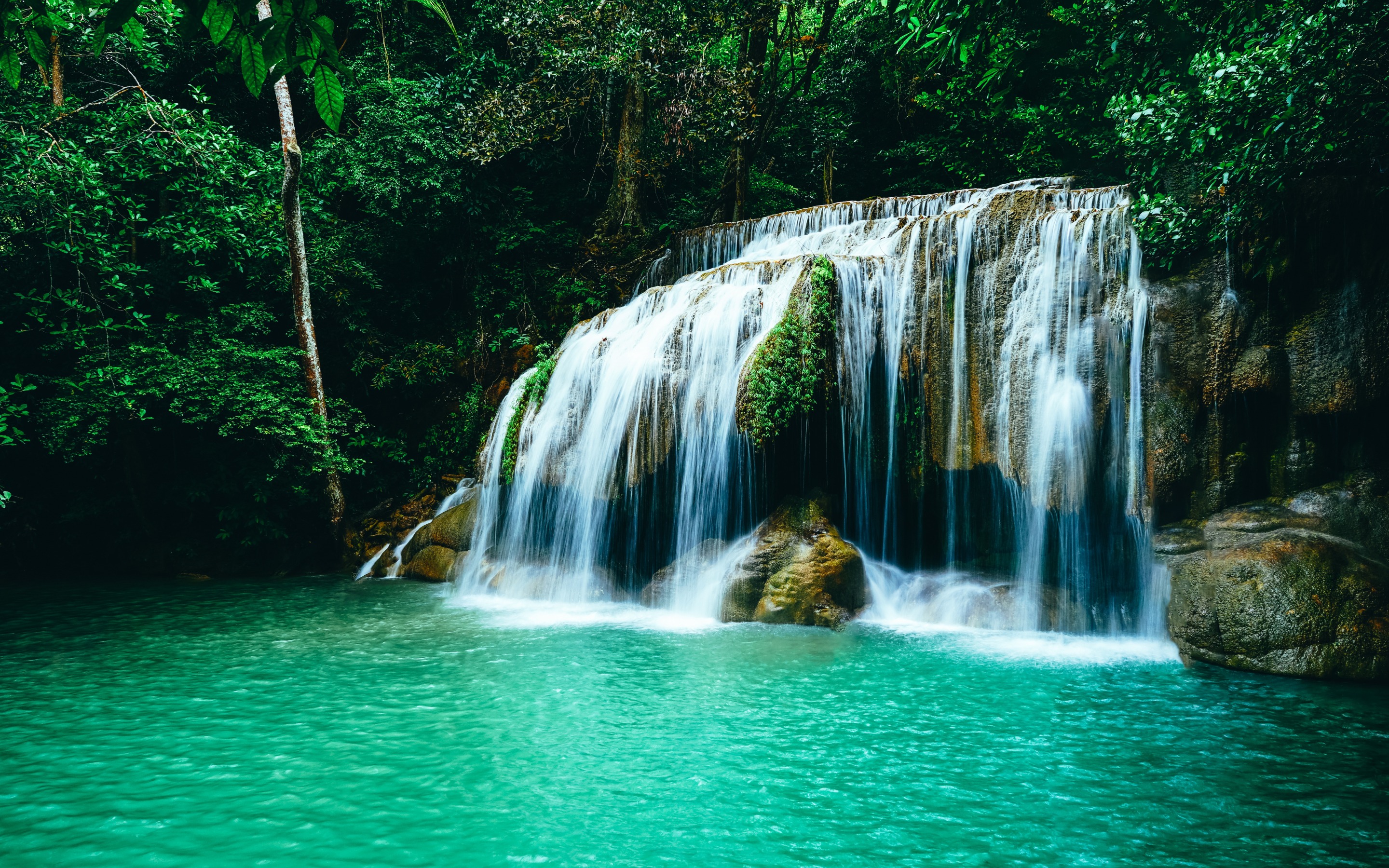 Waterfall Rainforest Wallpapers Wallpaper Cave Waterfall Rainforest Wallpapers Wallpaper Cave