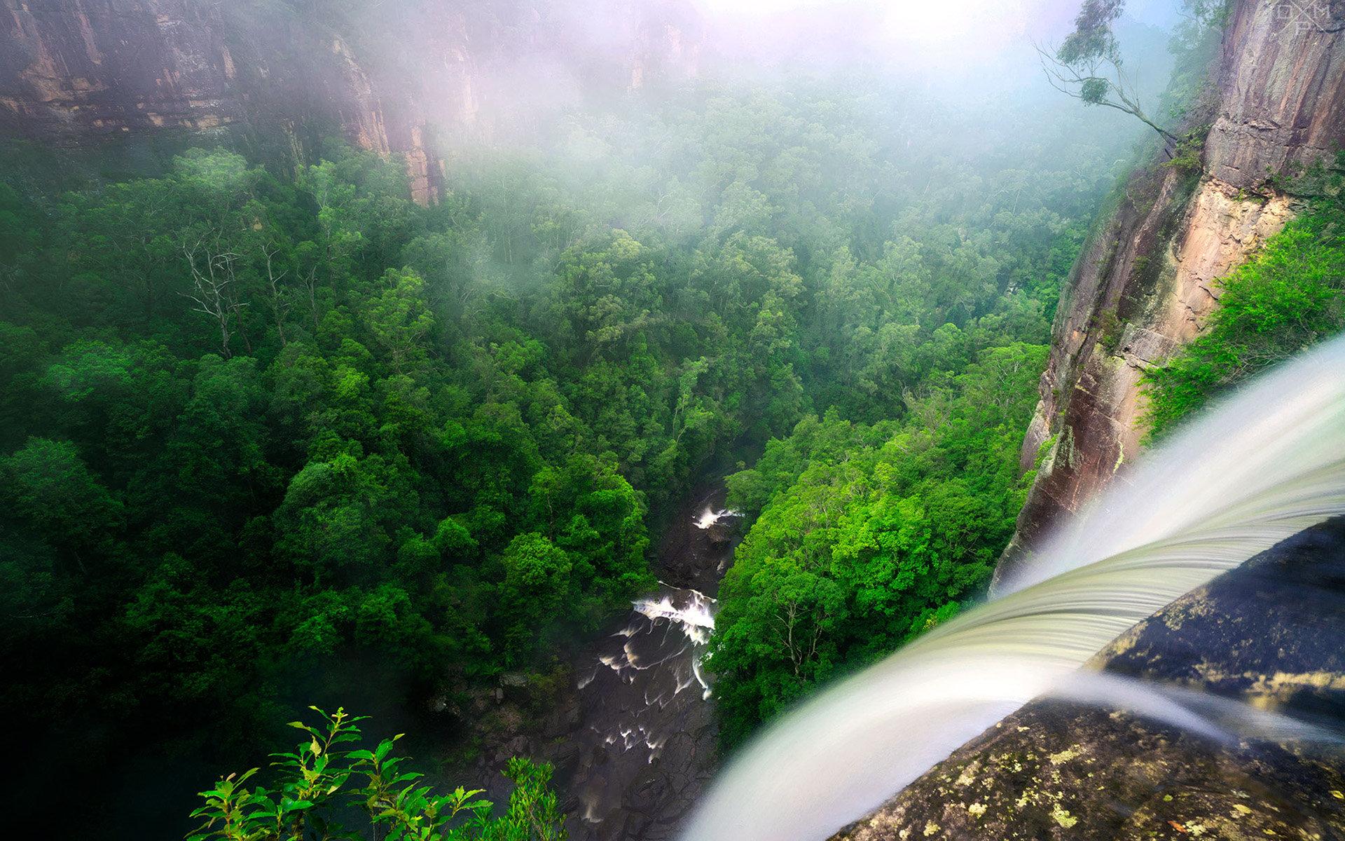 Rainforest wallpaper HD for desktop background