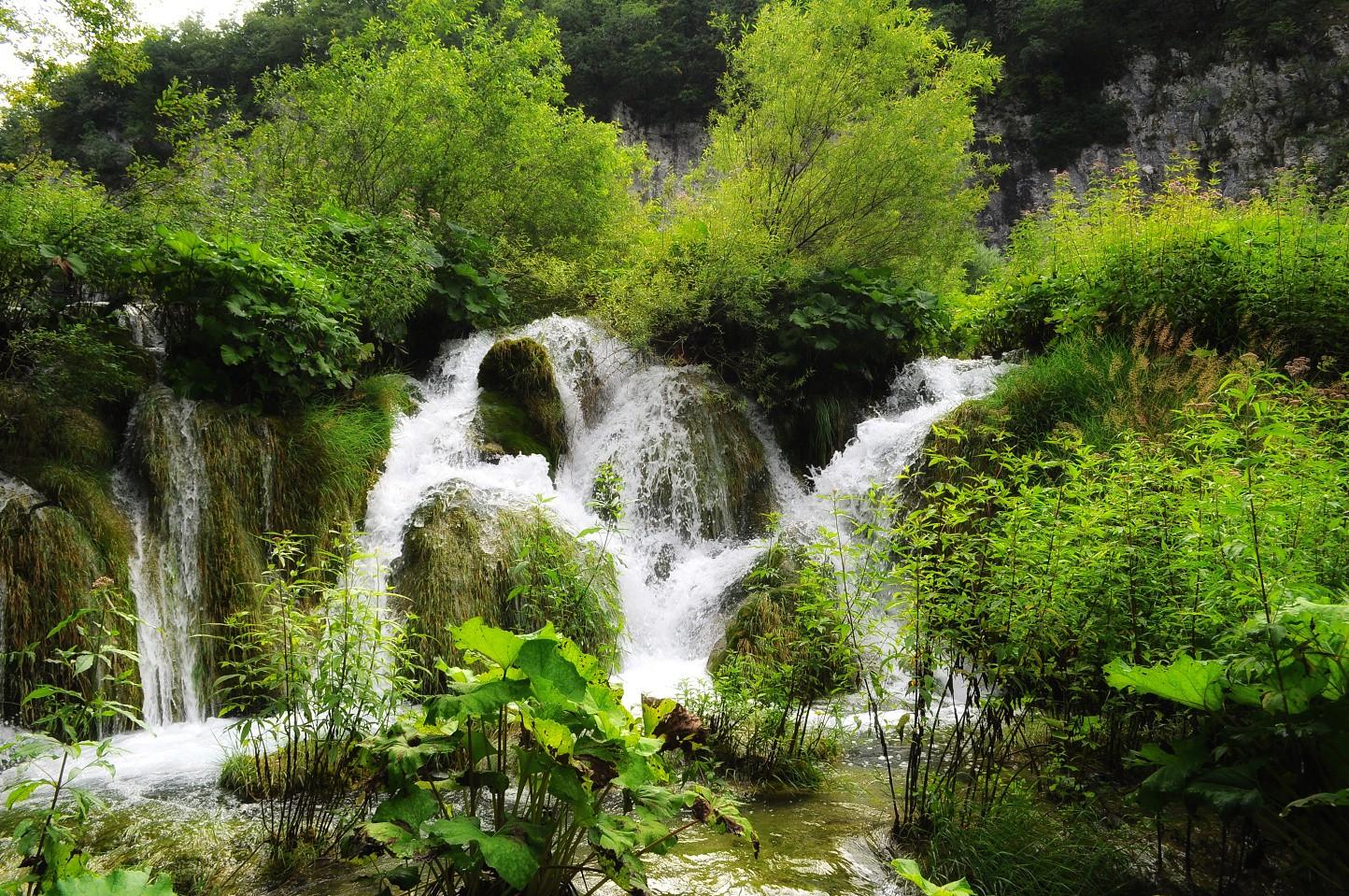 Waterfall: Water Nature Waterfall Waterfalls Trees Rainforest