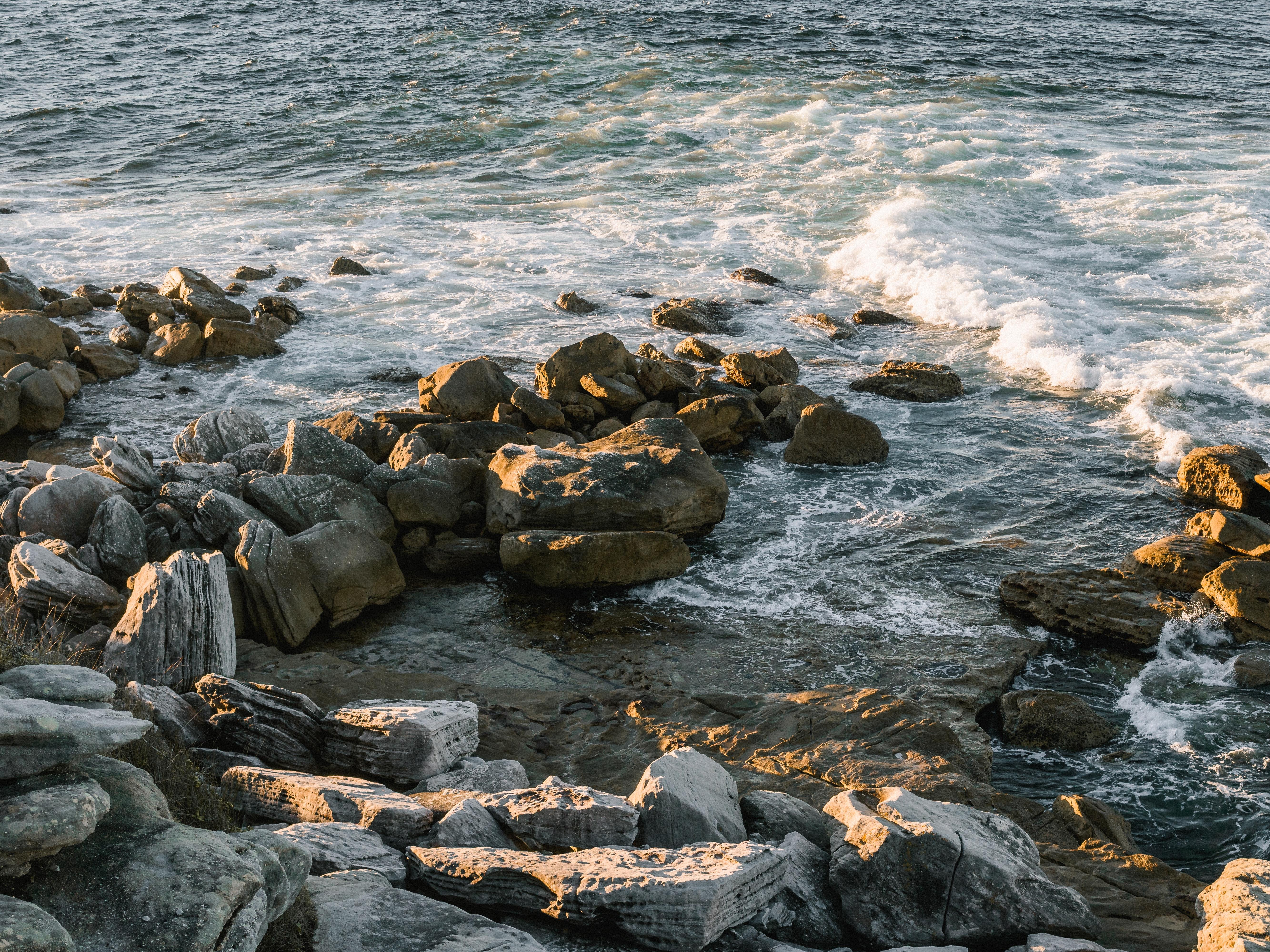 Photo of Rocky Shore During Daytime · Free