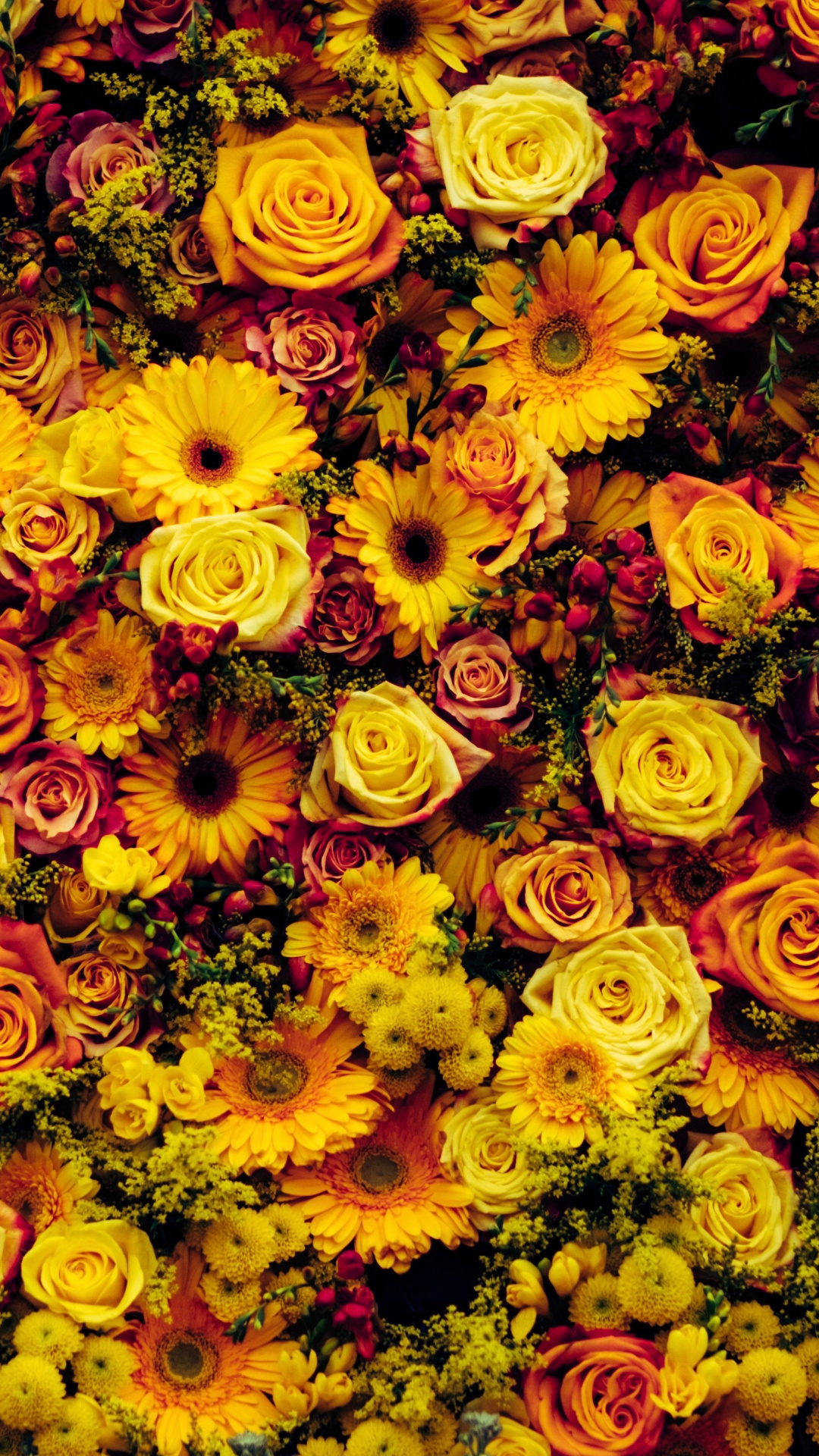 Sunflower, Cut Flowers, Flower Arranging, Spring, Flower Wallpaper