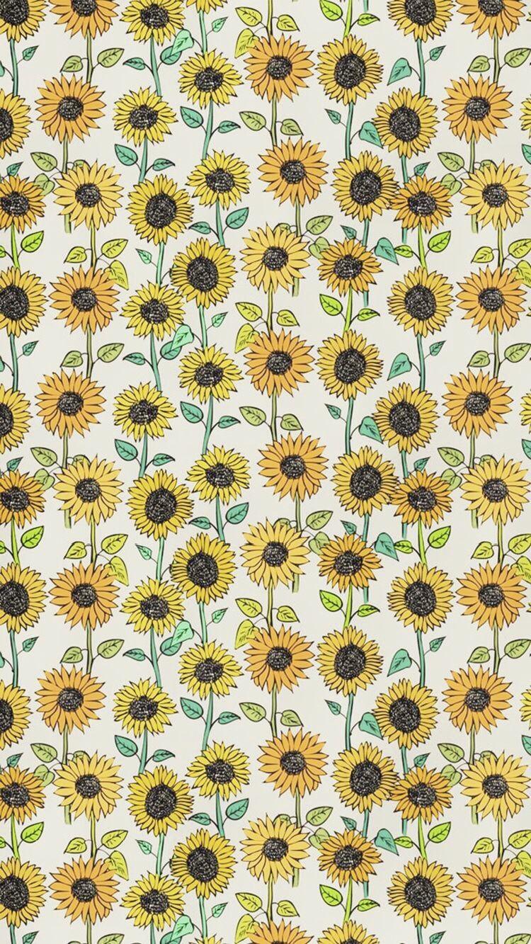 iPhone Wallpaper. Sunflower, Flower, Plant, chamomile, sunflower