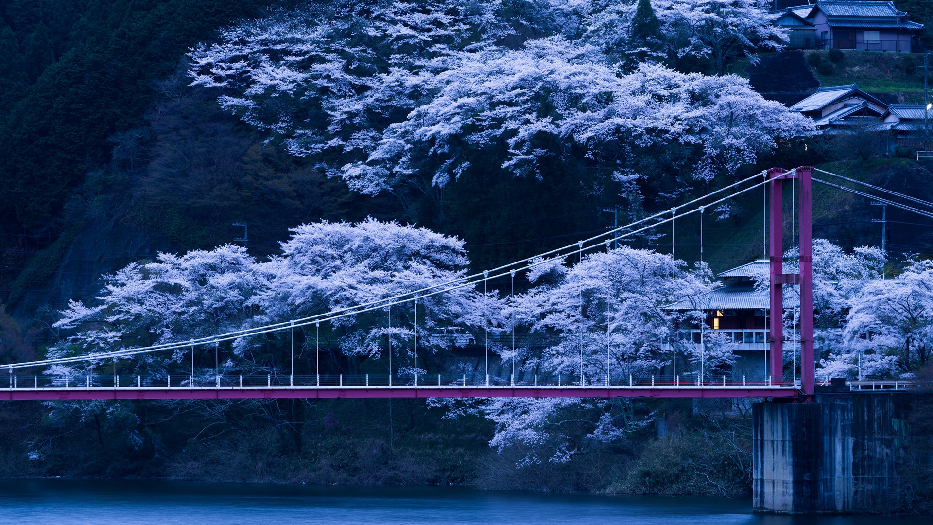 Download wallpaper 1920x1080 japan, bridge, sakura, night full HD