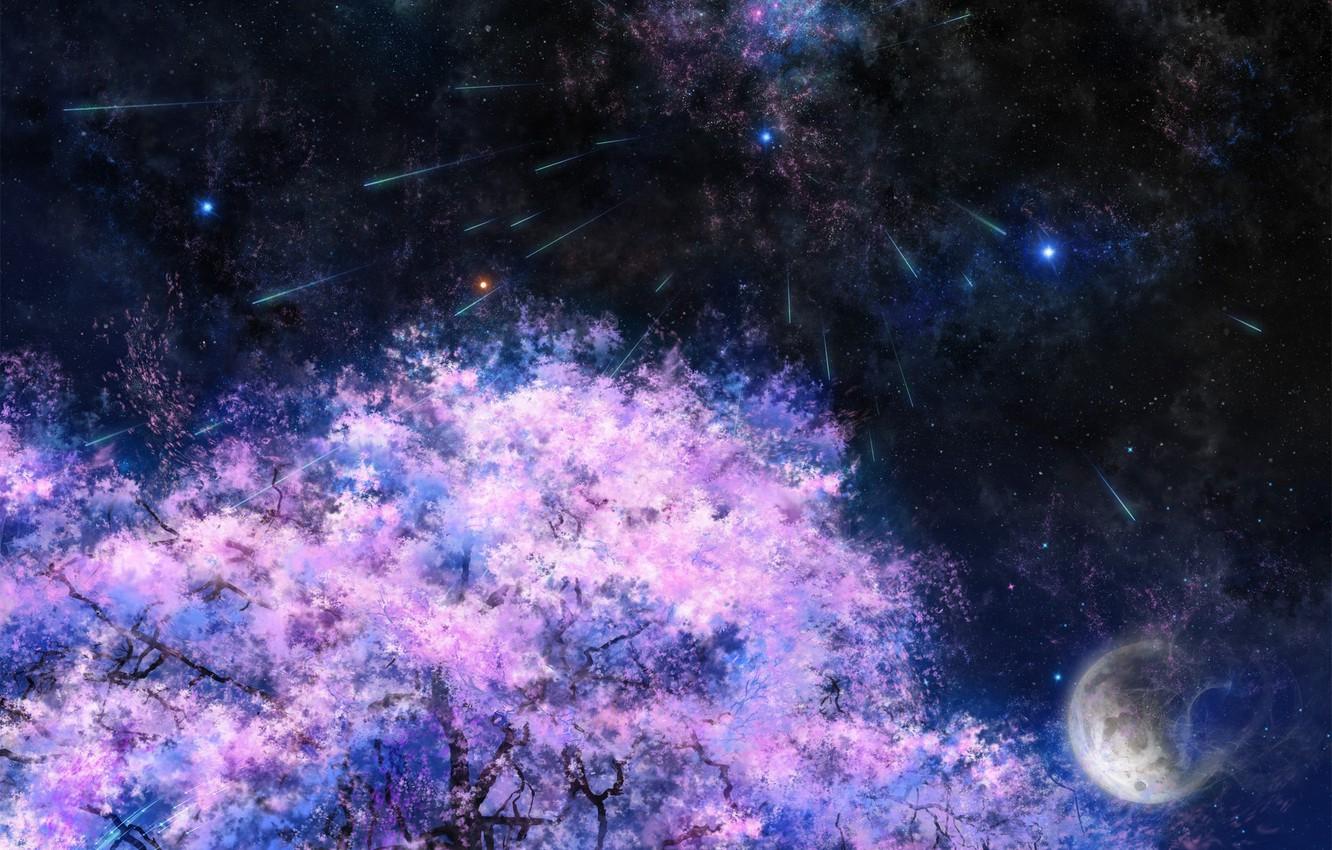 Wallpaper space, stars, night, tree, the moon, Sakura, art, tsujiki