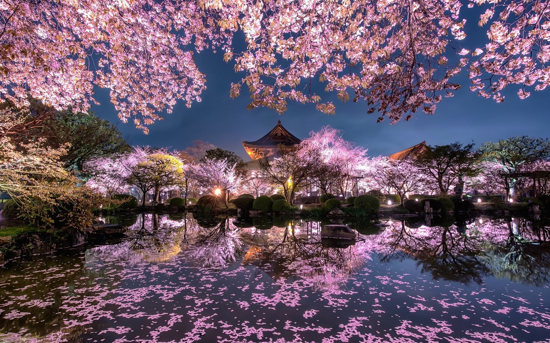 Wallpaper Japan, sakura, trees, pink flowers, night, pond, temple