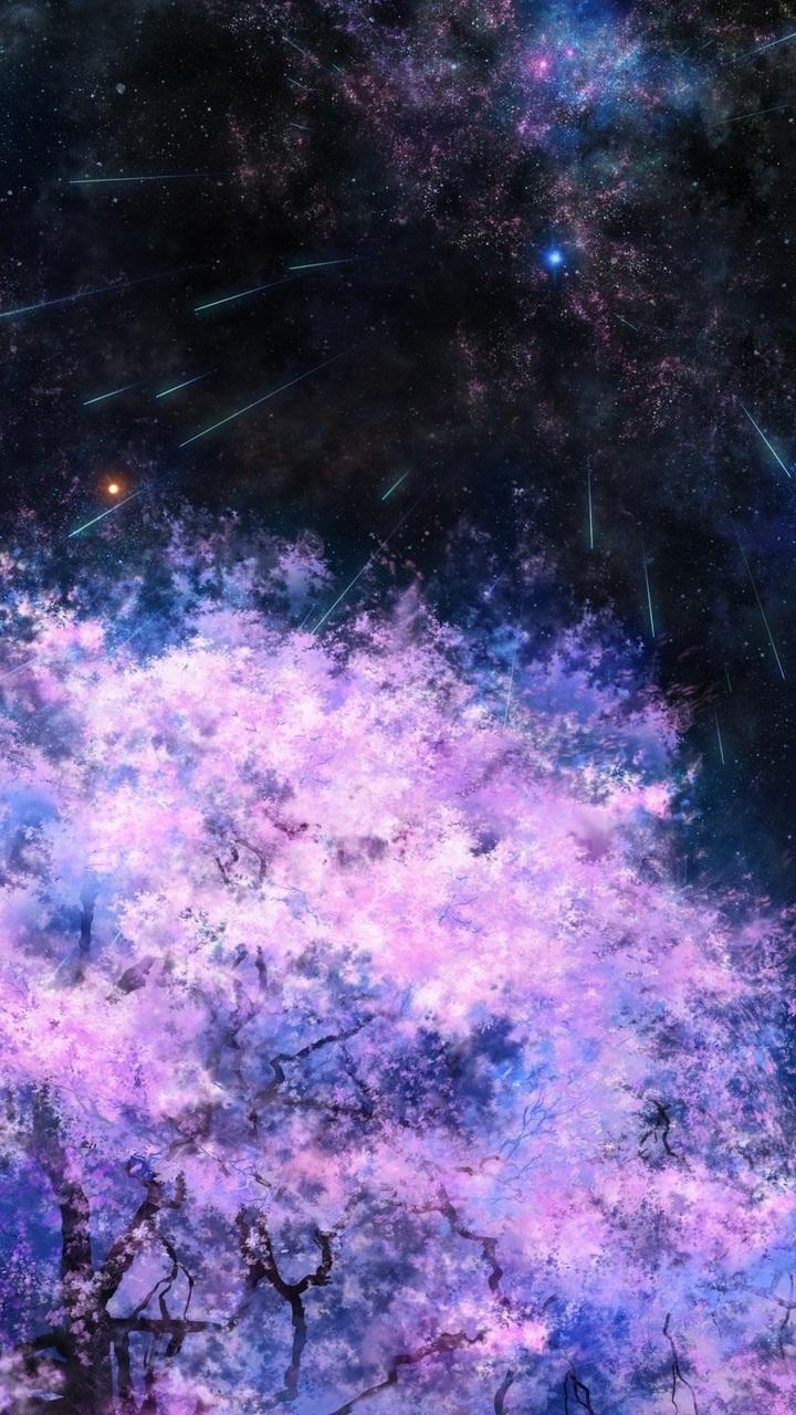tree, sakura, tsujiki, space, the moon, stars, art, night
