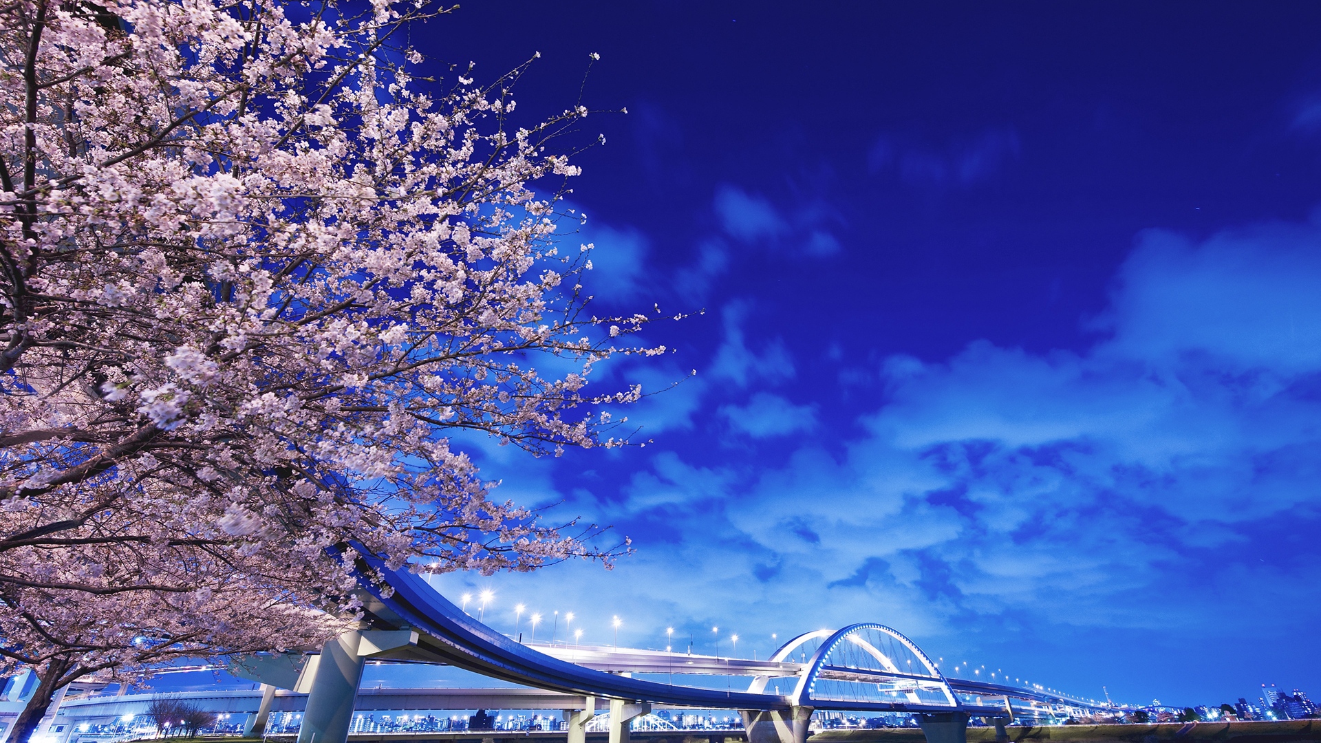 Japan Hokkaido Bridge Sakura , Image, HD