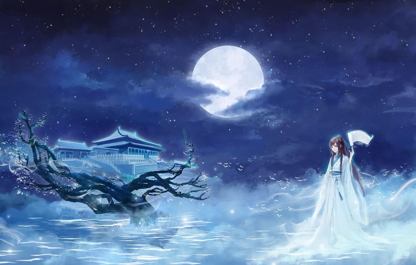 Wallpaper girl, stars, clouds, night, The moon, Sakura, temple