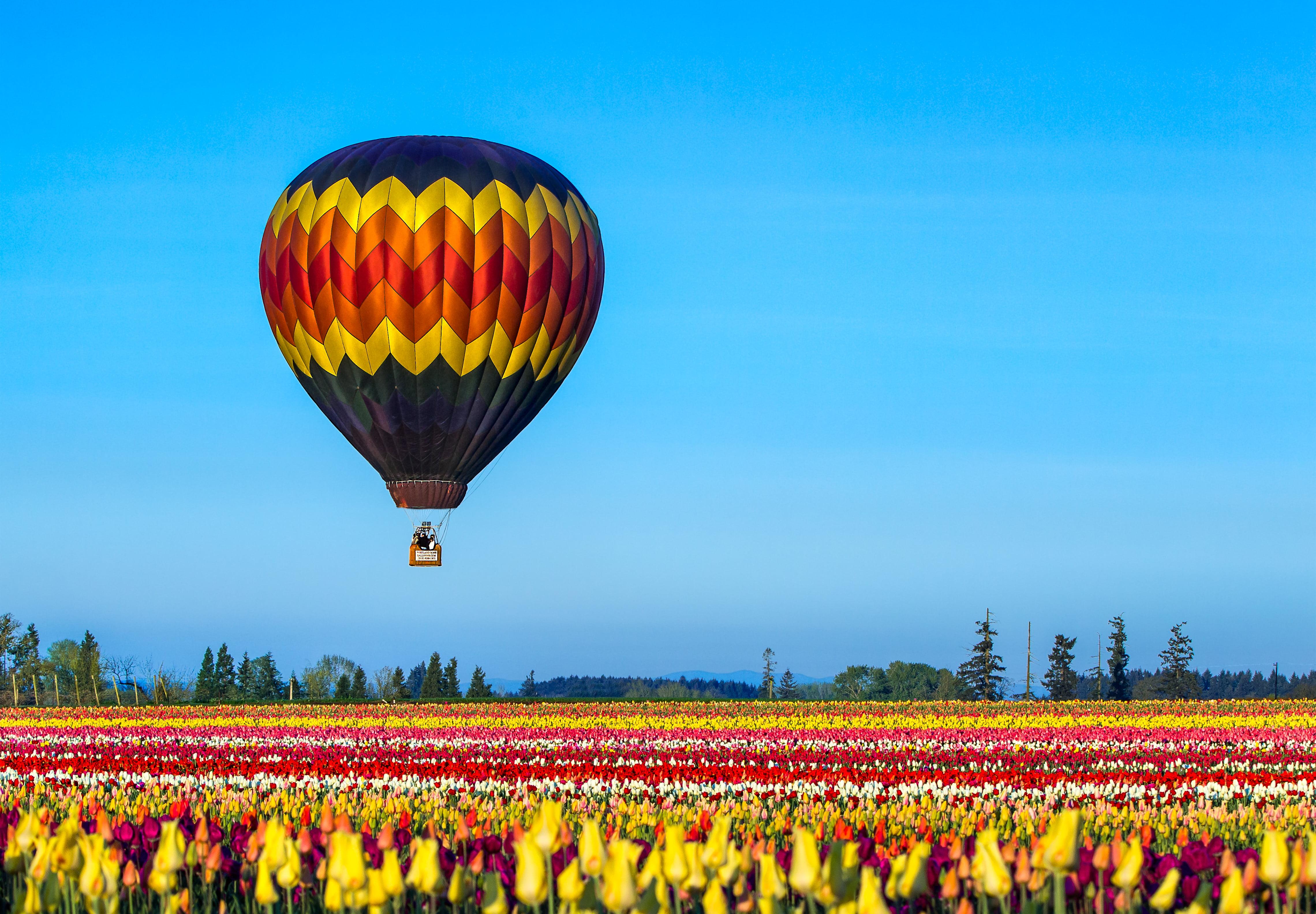 Field Of Tulips And Balloons Wallpapers - Wallpaper Cave