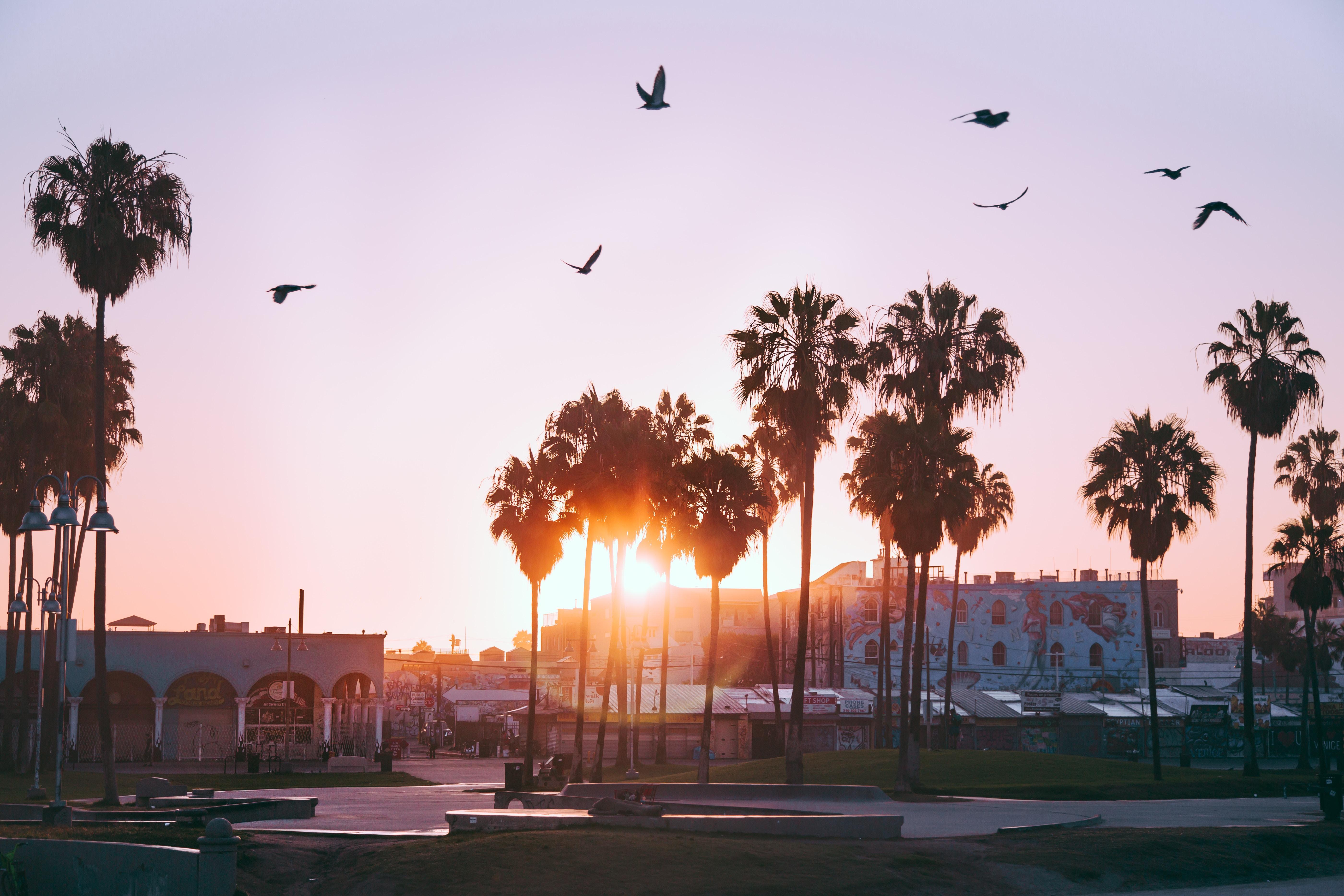  Venice  Beach  Los Angeles Wallpapers Wallpaper Cave