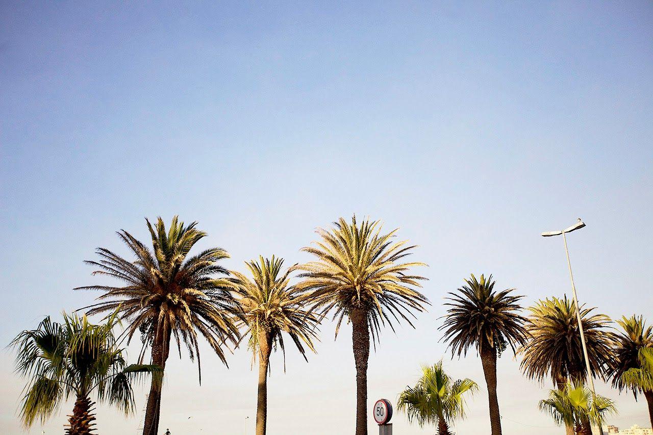 Tumblr California Desktop Wallpaper Free Tumblr California