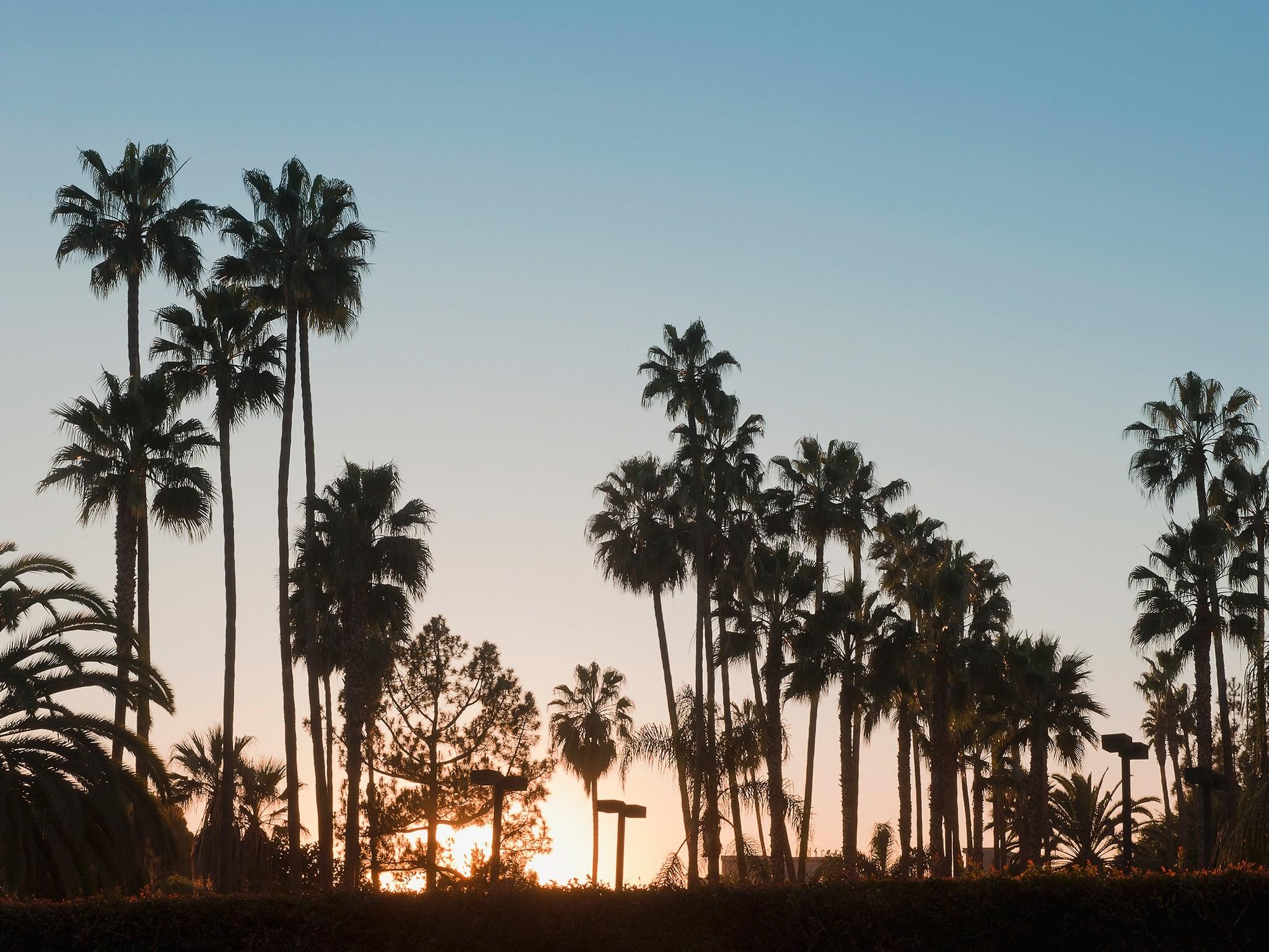 Venice Beach California Wallpaper